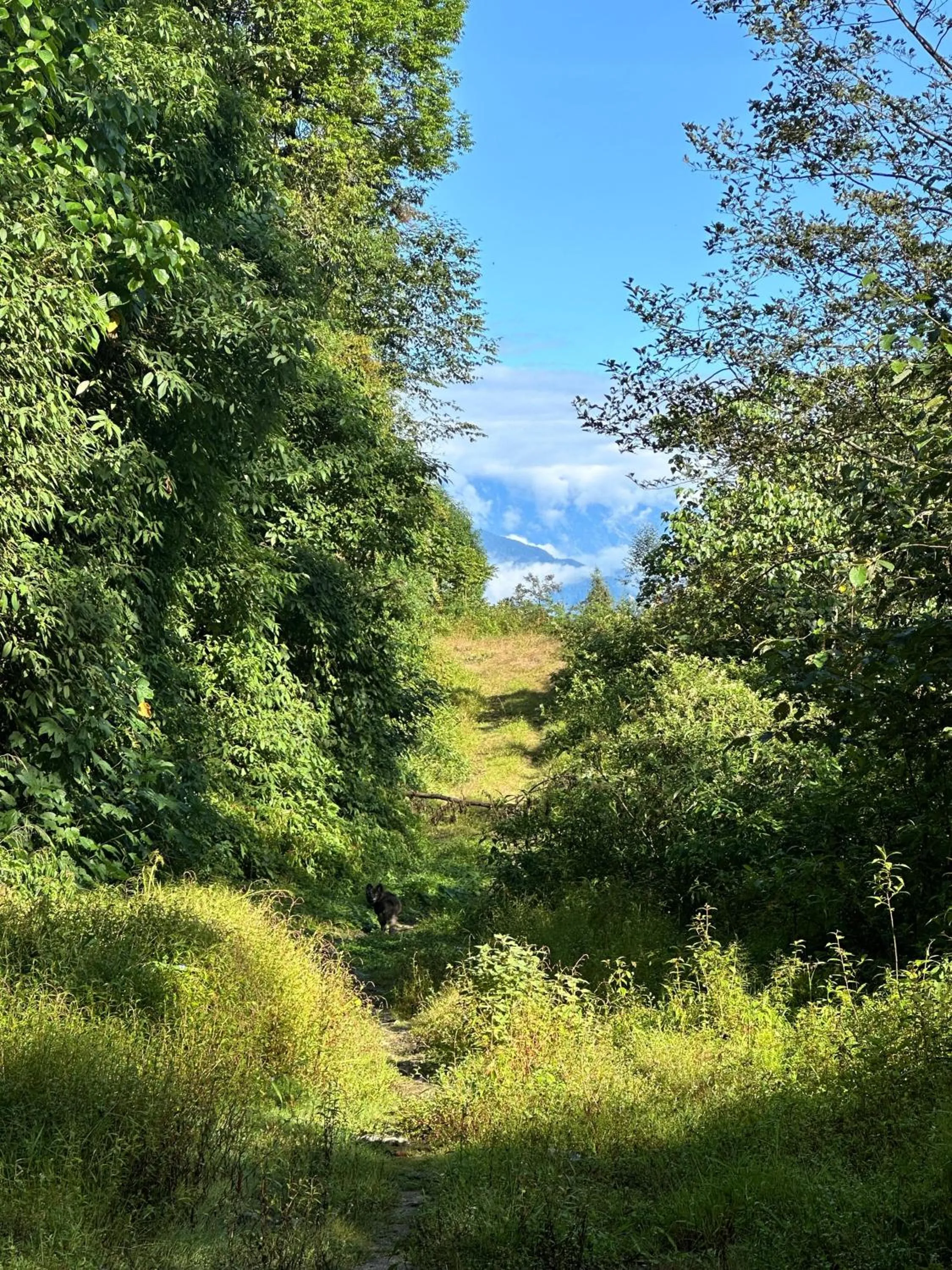 Activities in Taj Guras Kutir Resort & Spa, Gangtok