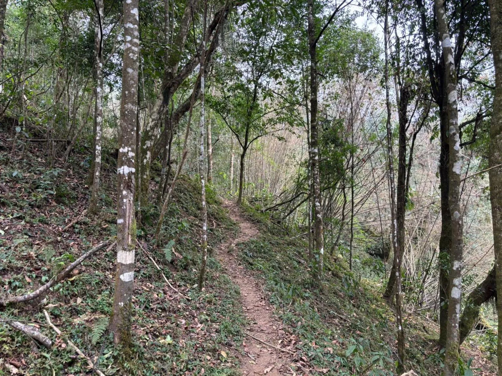 Activities in Taj Guras Kutir Resort & Spa, Gangtok