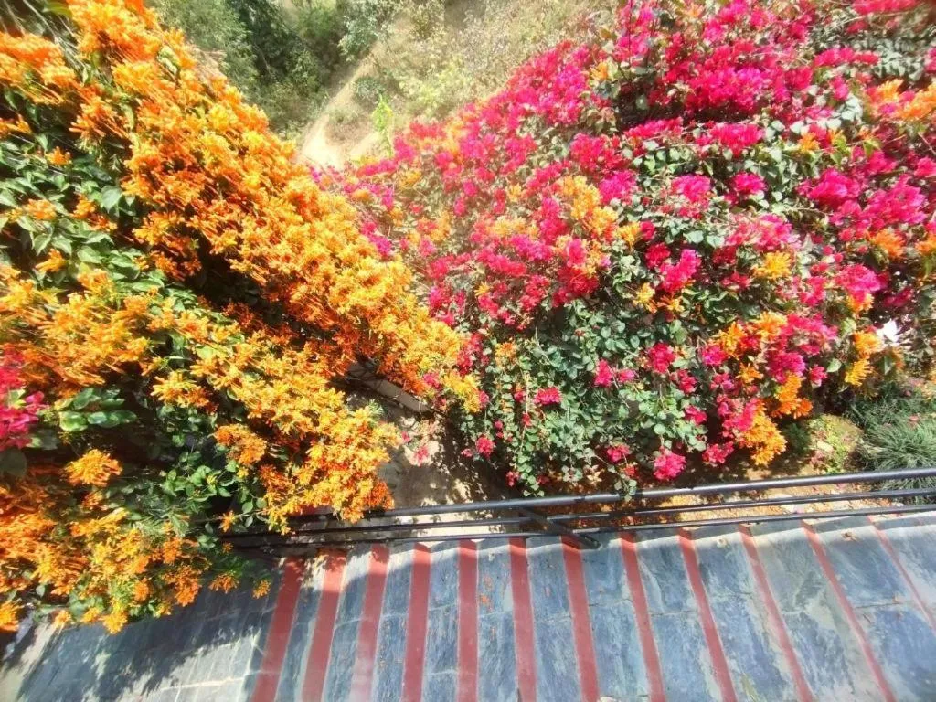 Spring in Hotel Tourist Residency