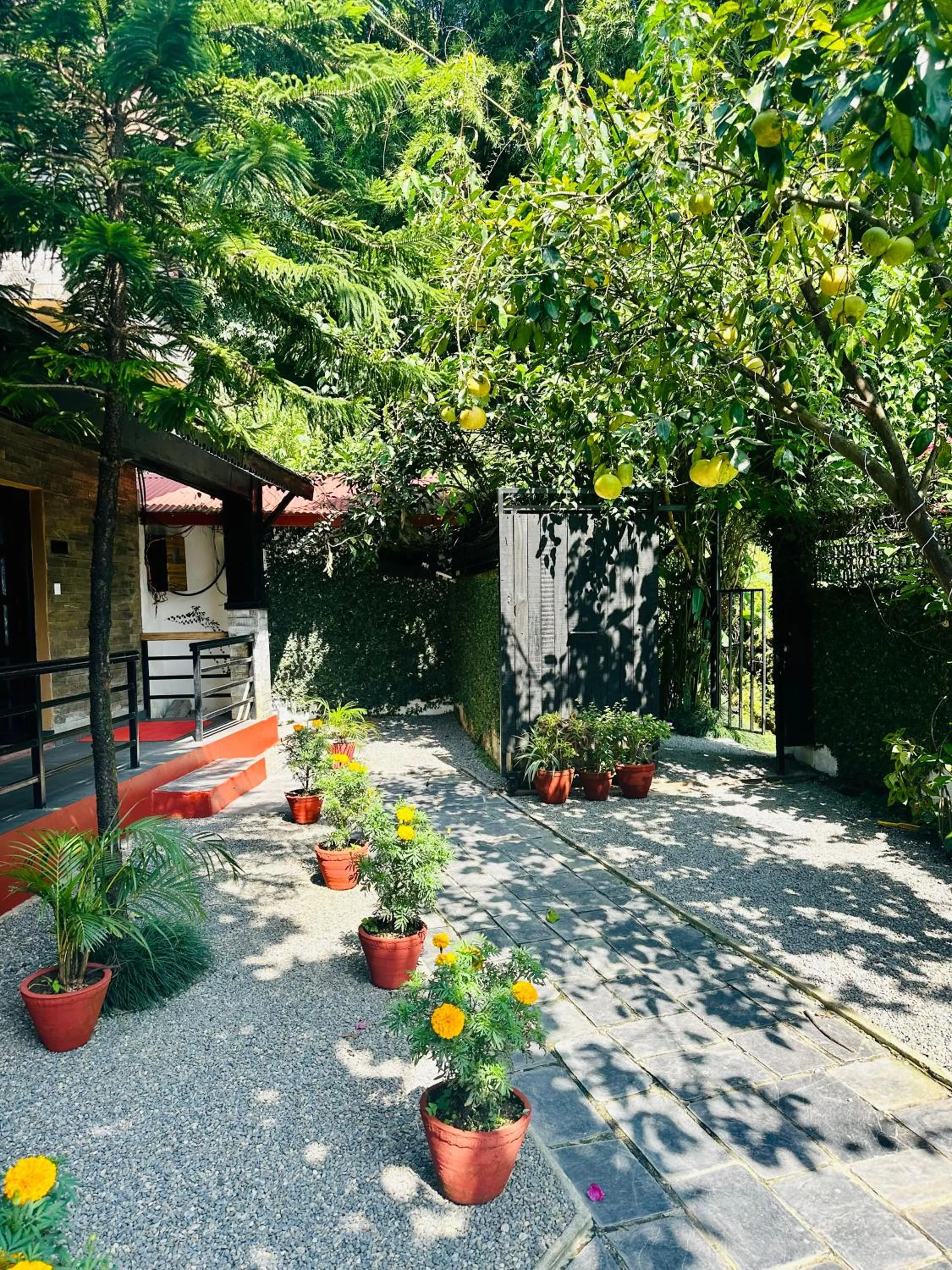 Spring in Hotel Tourist Residency