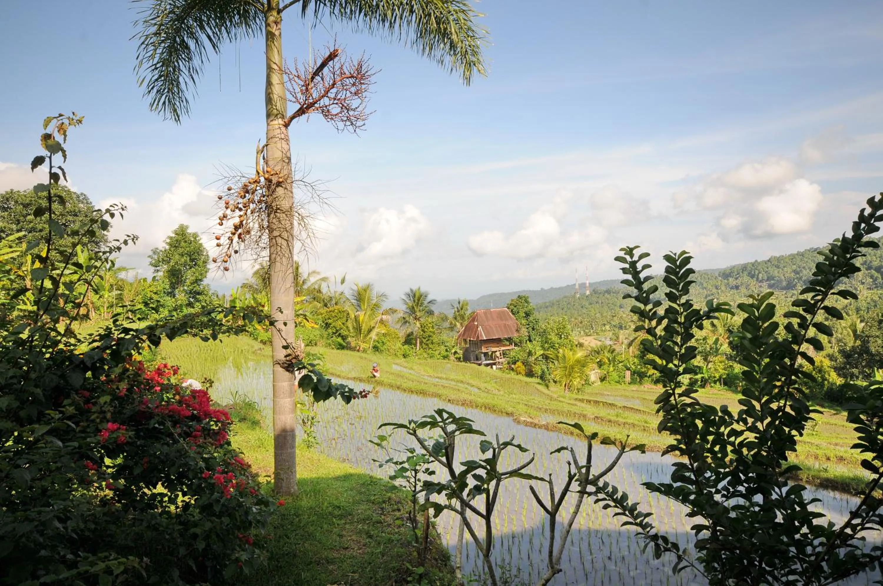 Garden view in Lesong Hotel and Restaurant