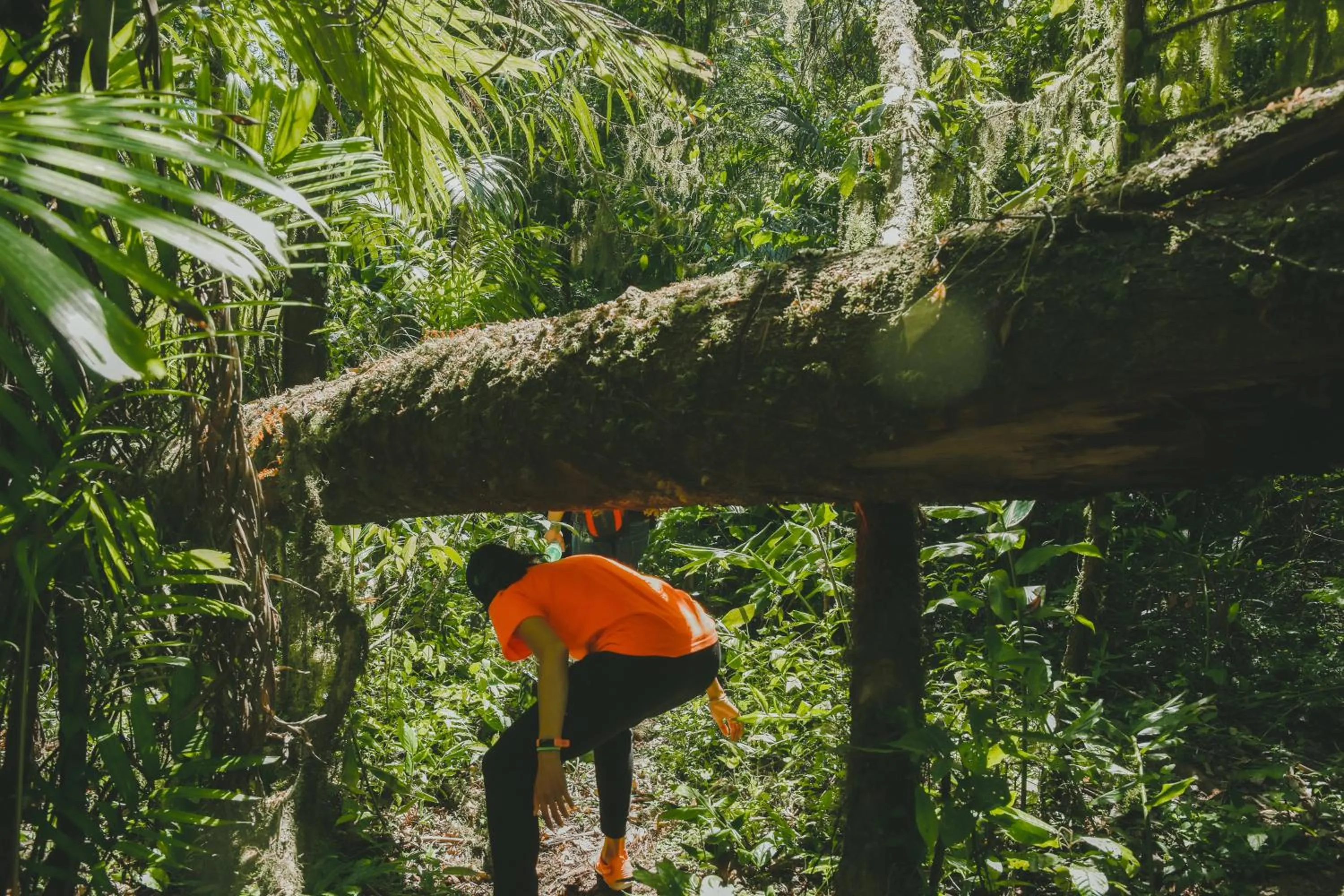 Activities in Lesong Hotel and Restaurant