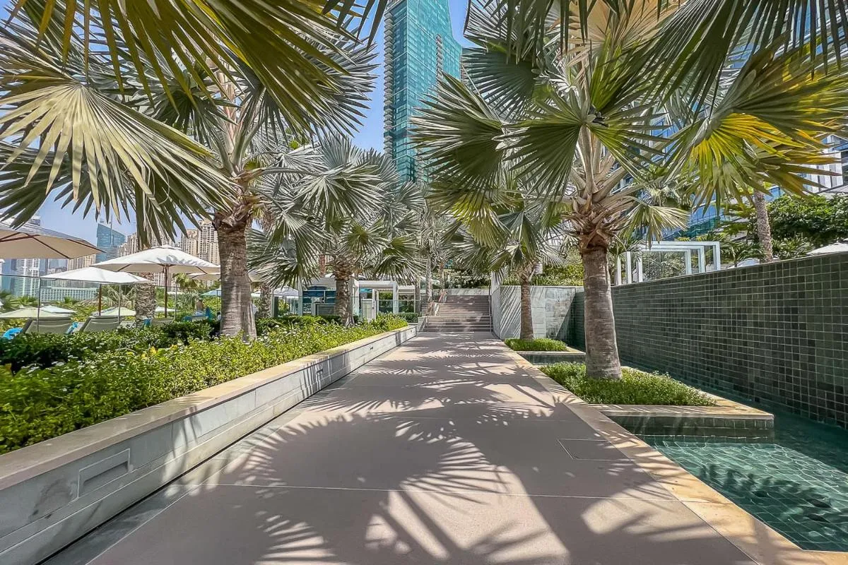 Other in Frank Porter - The Address JBR