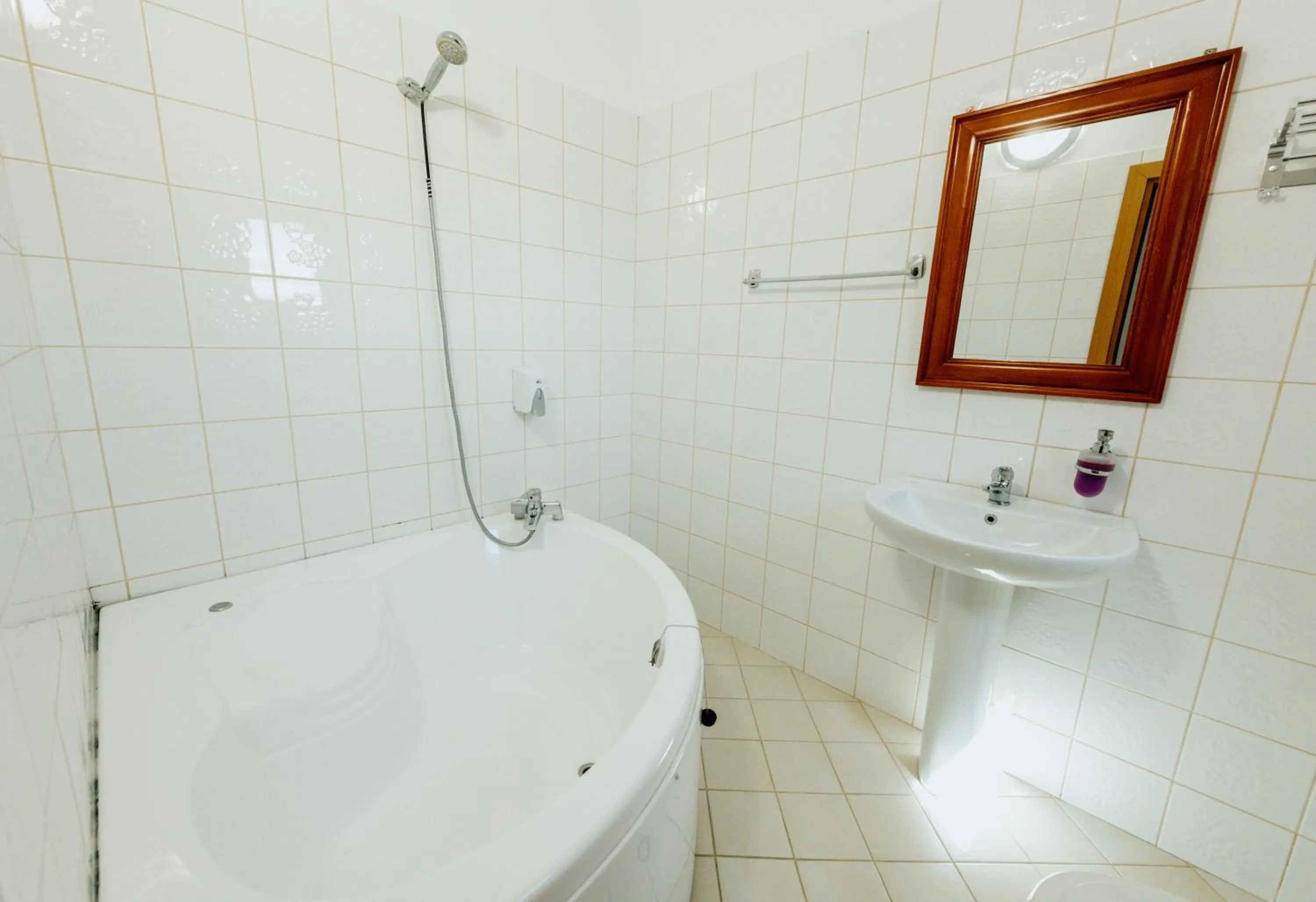 Bathroom in Hotel Floga