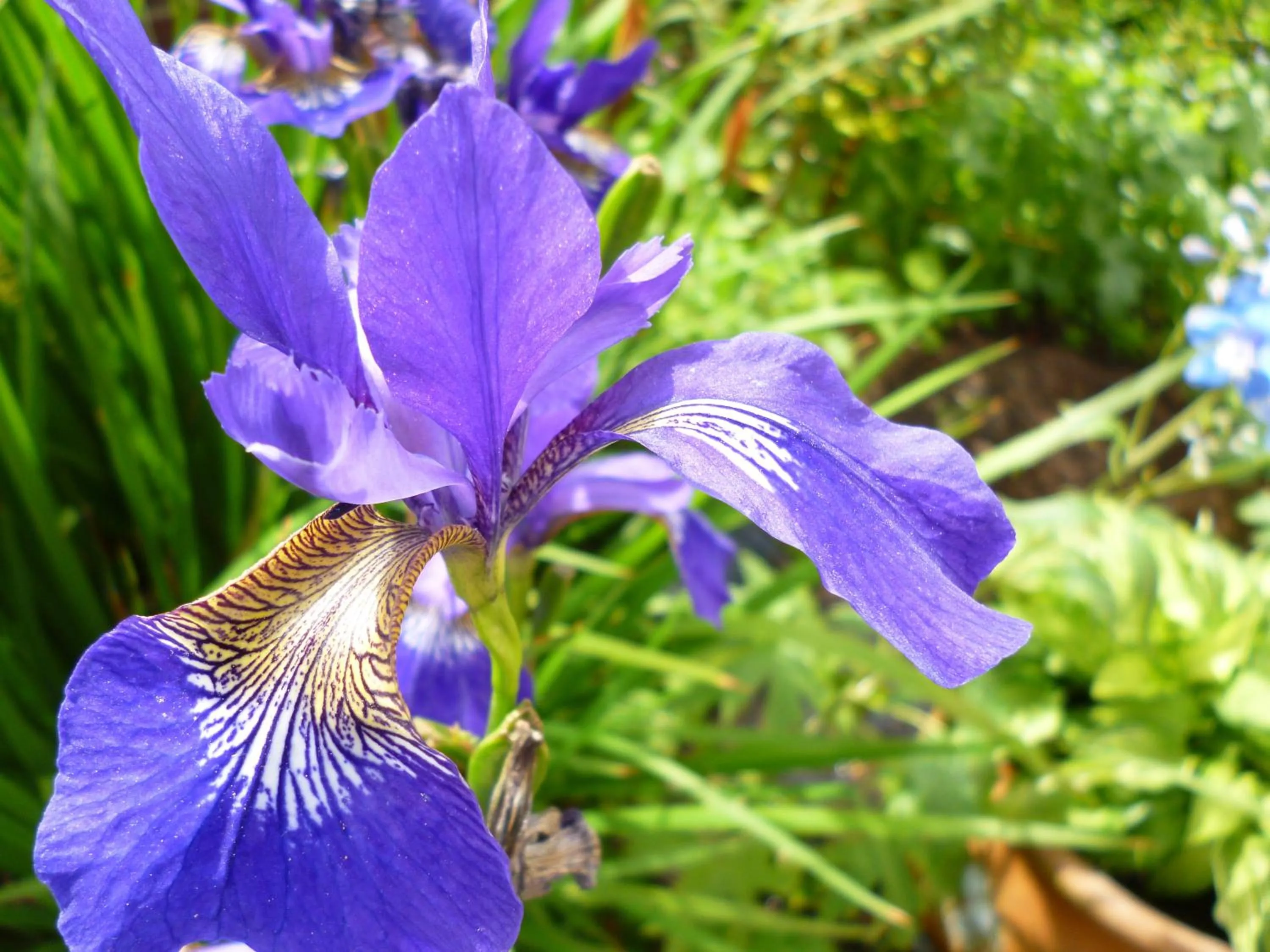 Decorative detail in Copperfields Guest House
