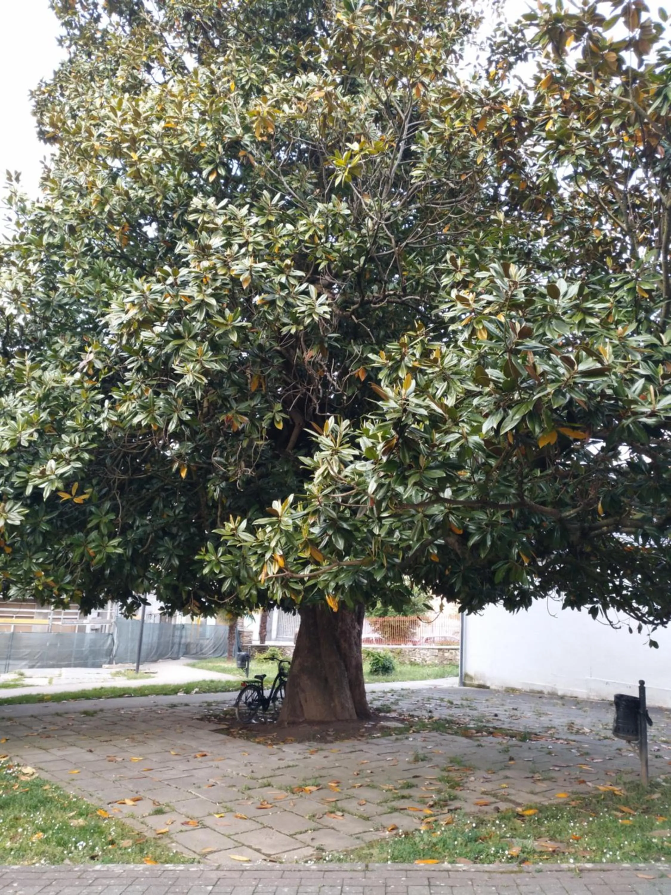 Activities in Pension-Albergue Don Alvaro