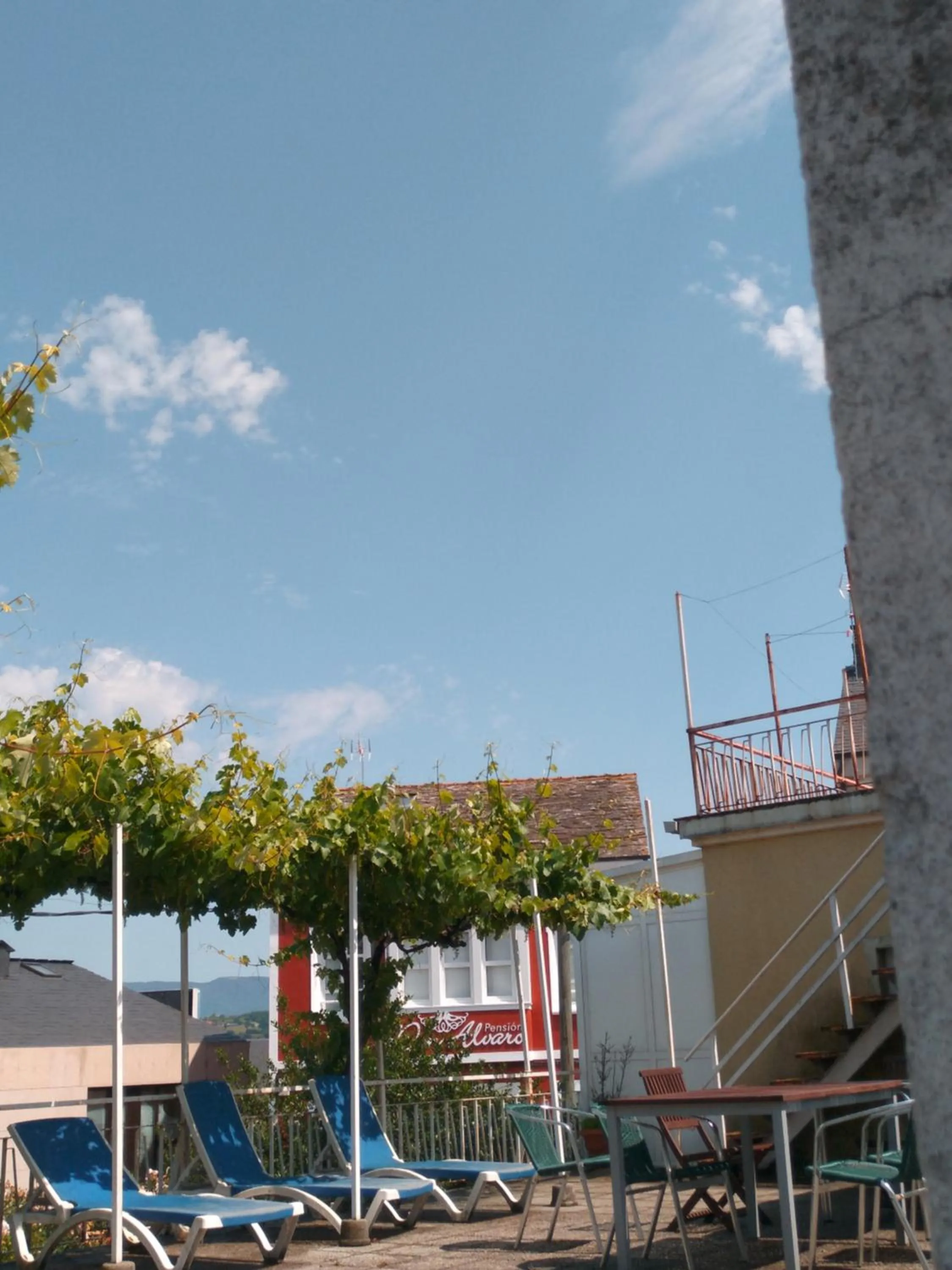 Garden in Pension-Albergue Don Alvaro