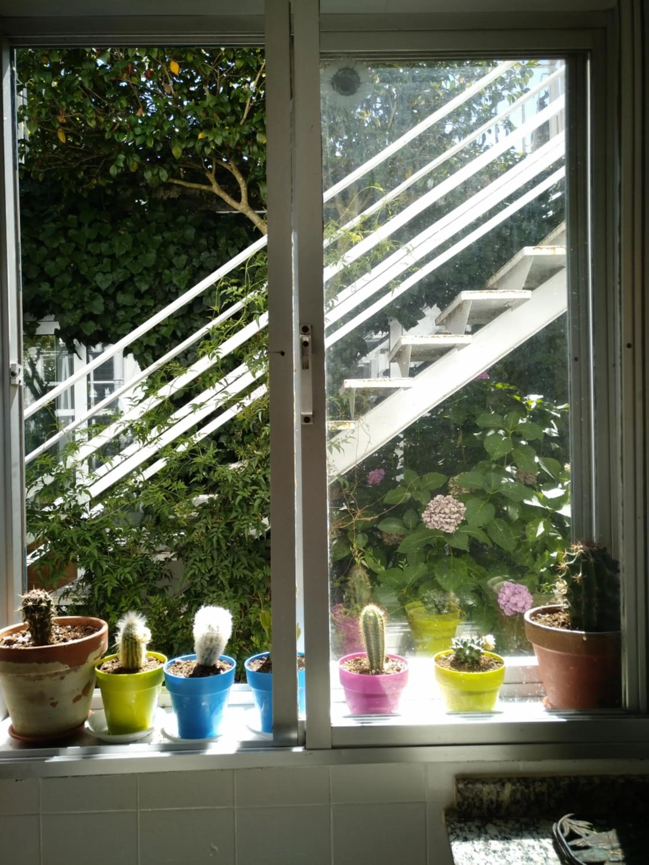 Property building in Pension-Albergue Don Alvaro