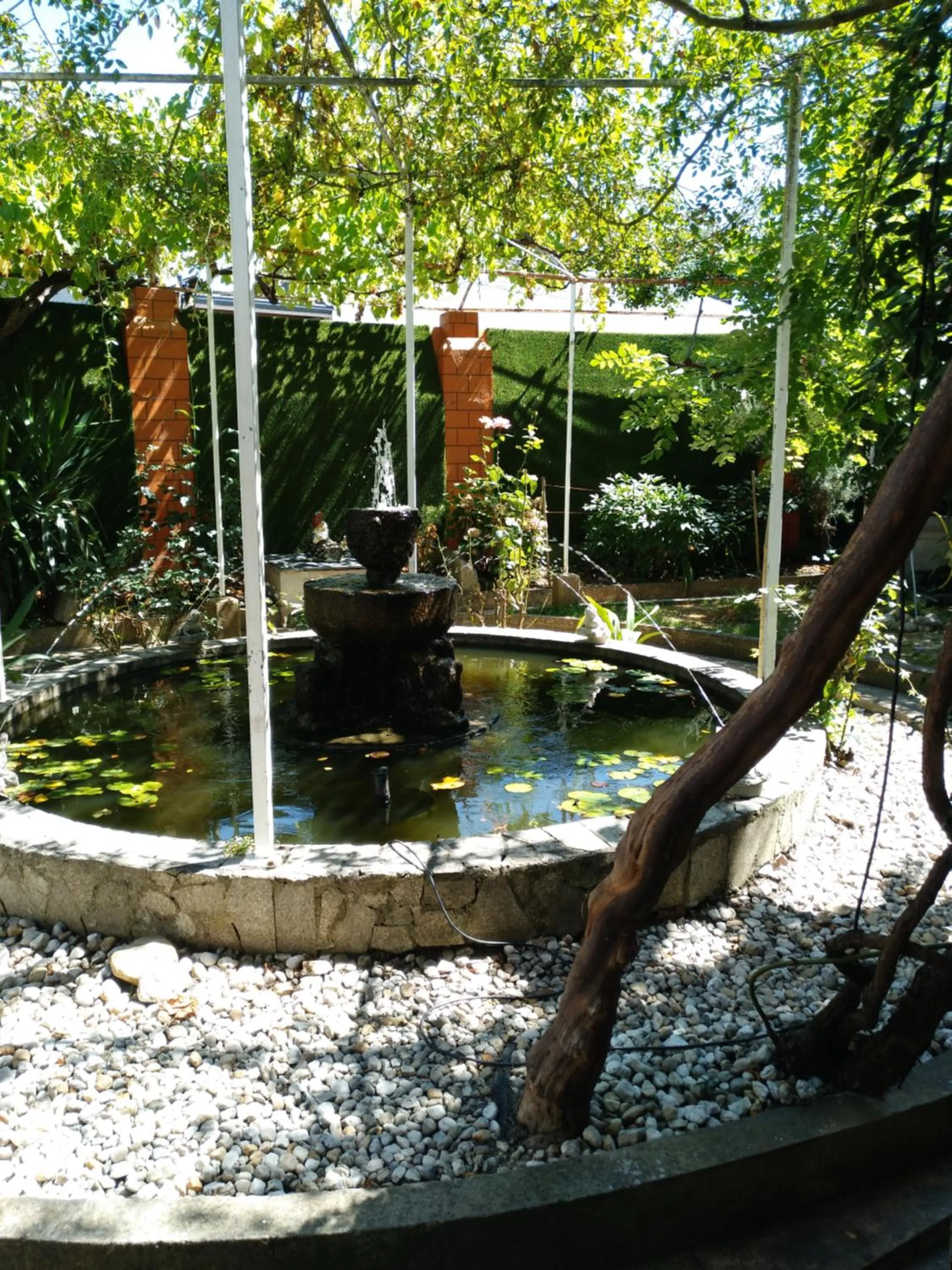 Property building in Pension-Albergue Don Alvaro