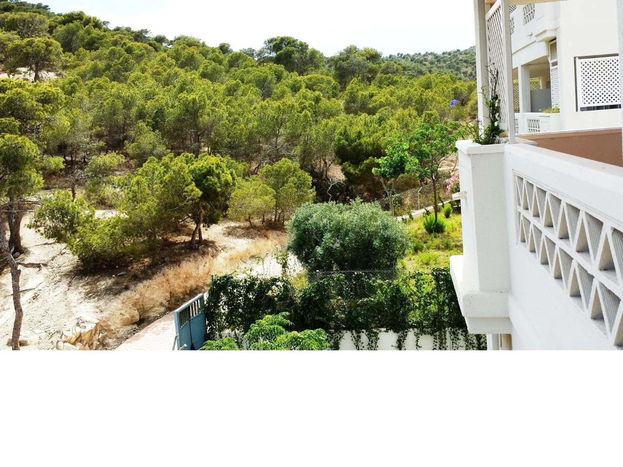 Activities in Ballesol Costablanca Senior Resort mayores de 55 años