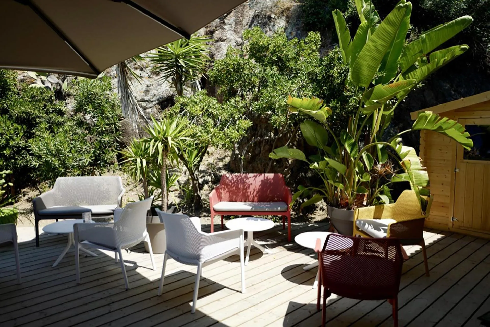 Restaurant/places to eat in Hôtel Sampiero