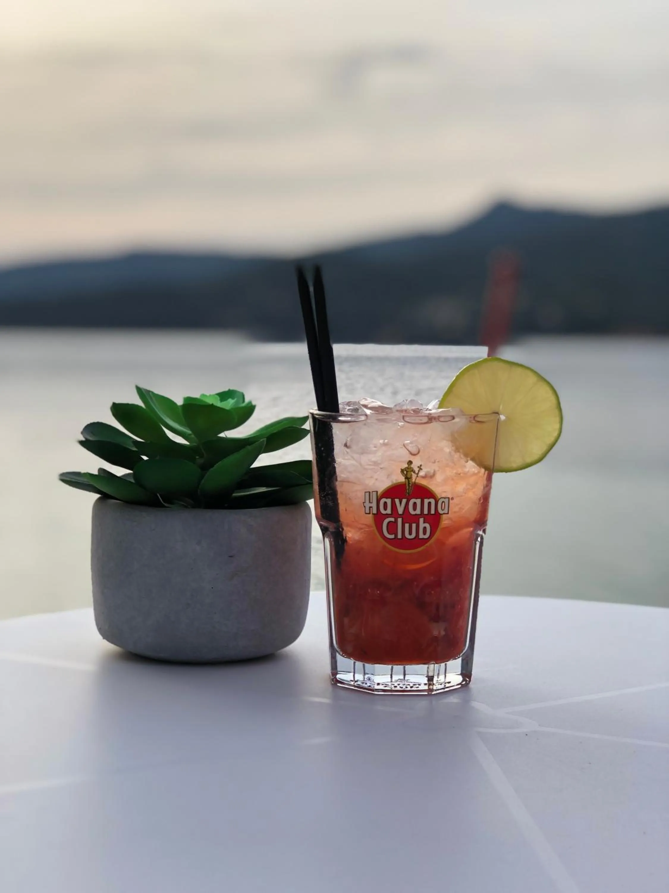 Lounge or bar in Hôtel Sampiero