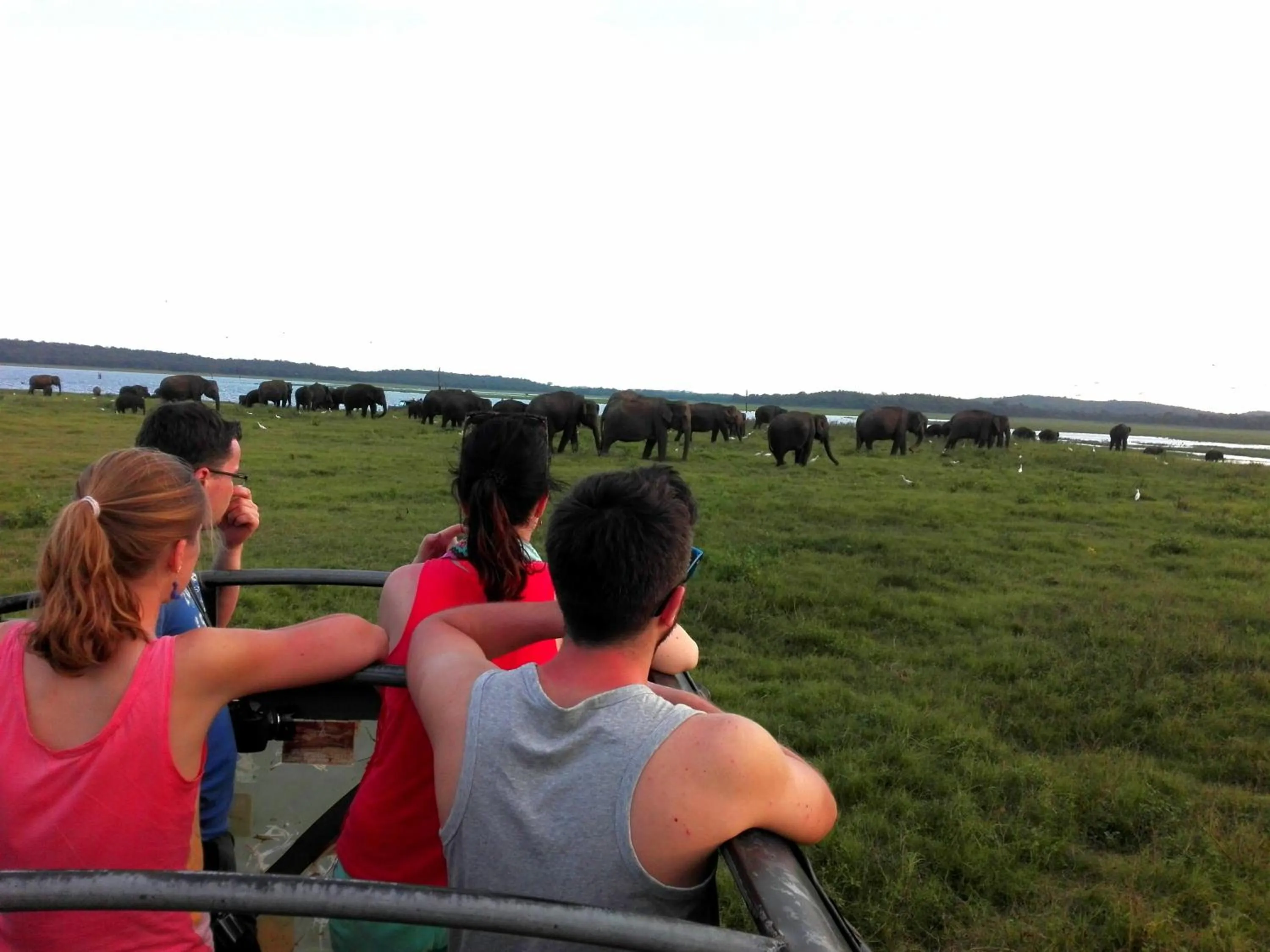 Area and facilities in Takeshi Inn