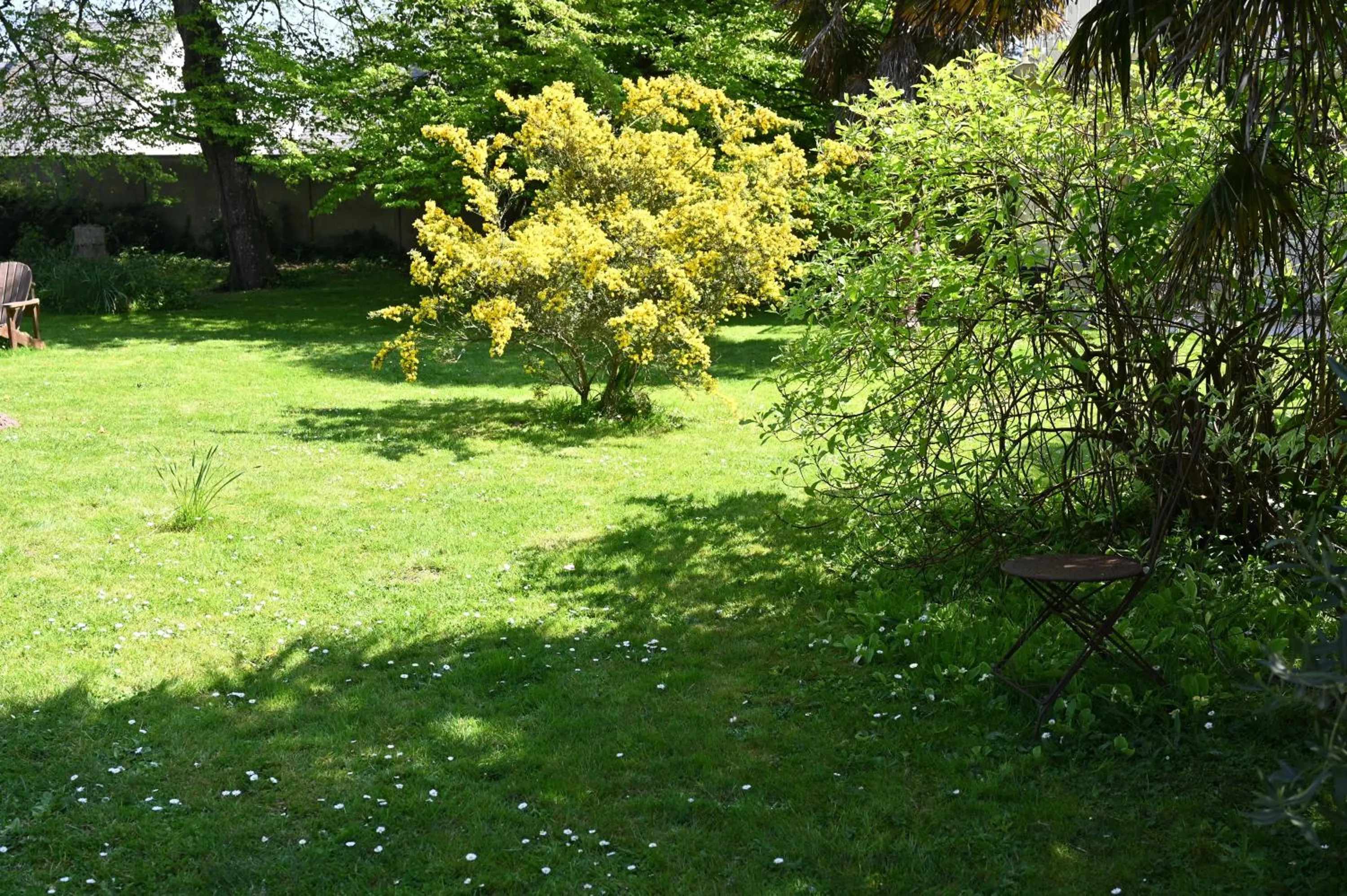 Garden in Logis Hôtel La Demeure du Perron