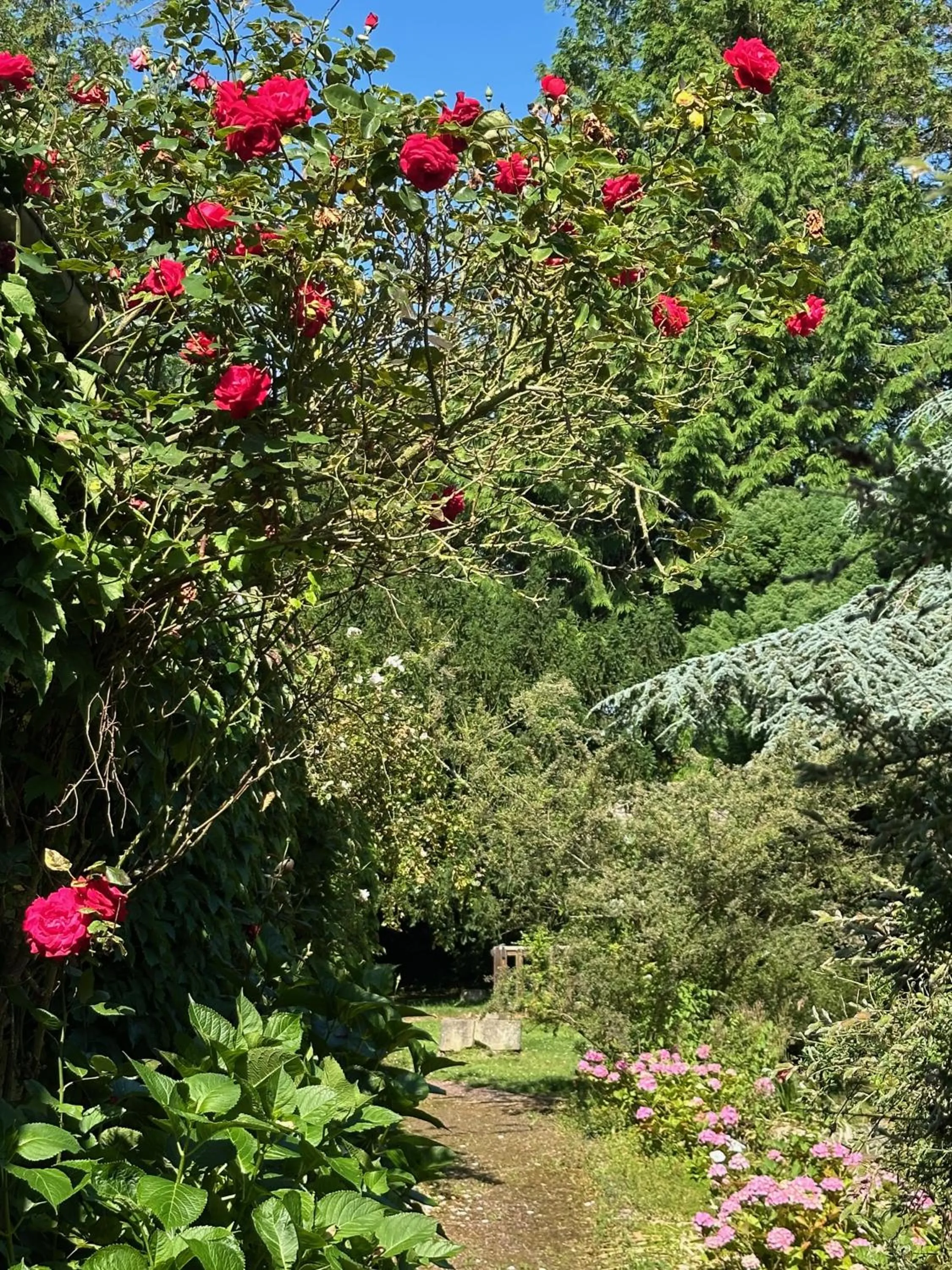 Garden in Logis Hôtel La Demeure du Perron
