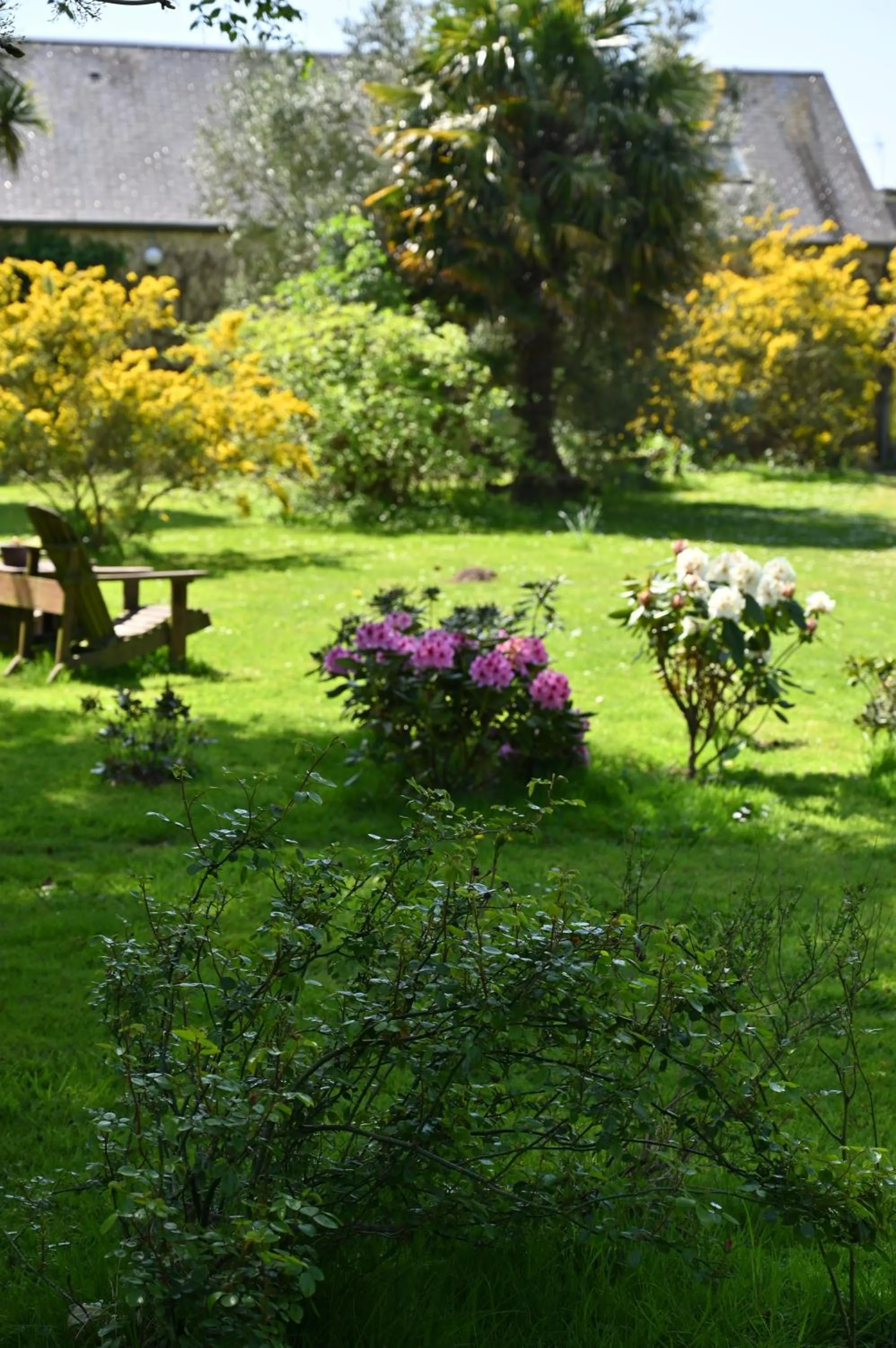Garden in Logis Hôtel La Demeure du Perron