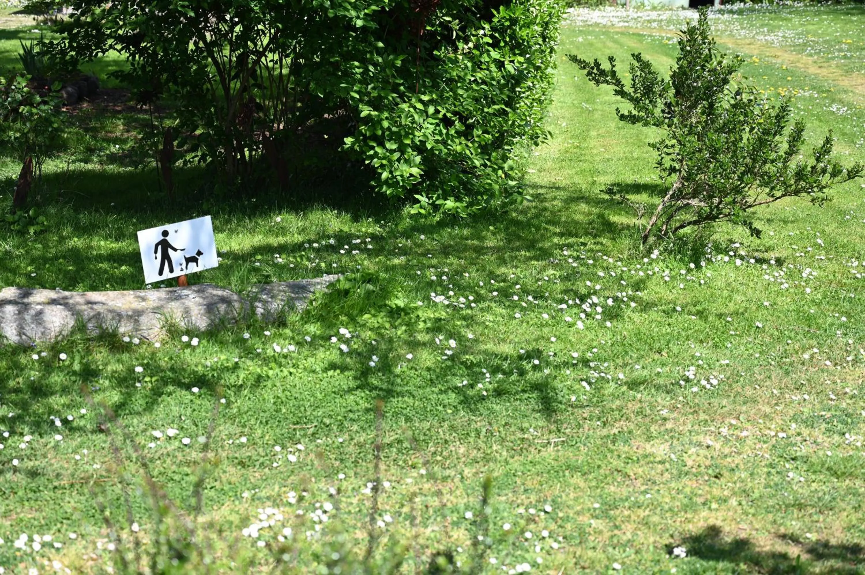 Garden in Logis Hôtel La Demeure du Perron
