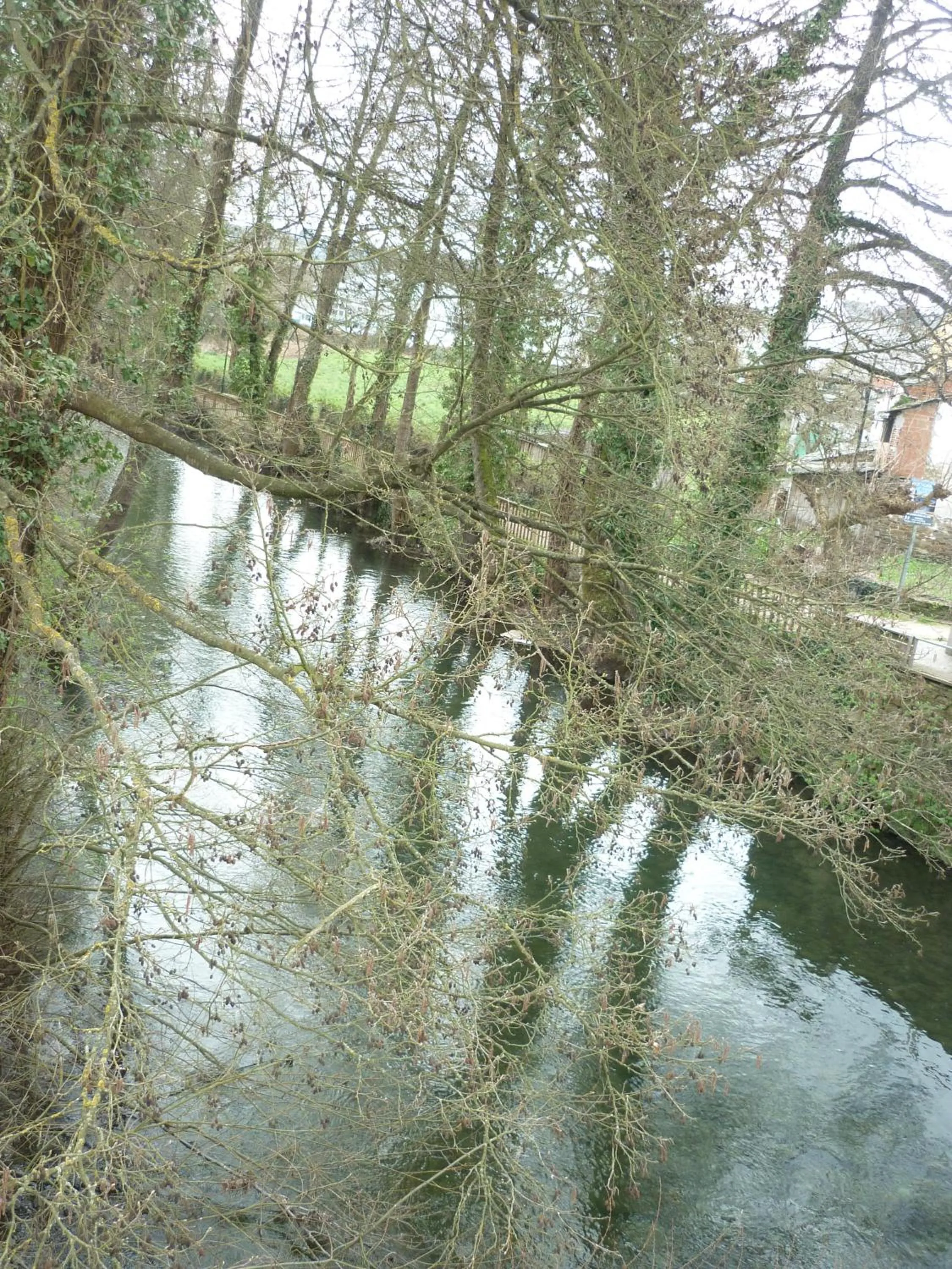 Area and facilities in Pensión-Albergue Puente Ribeira