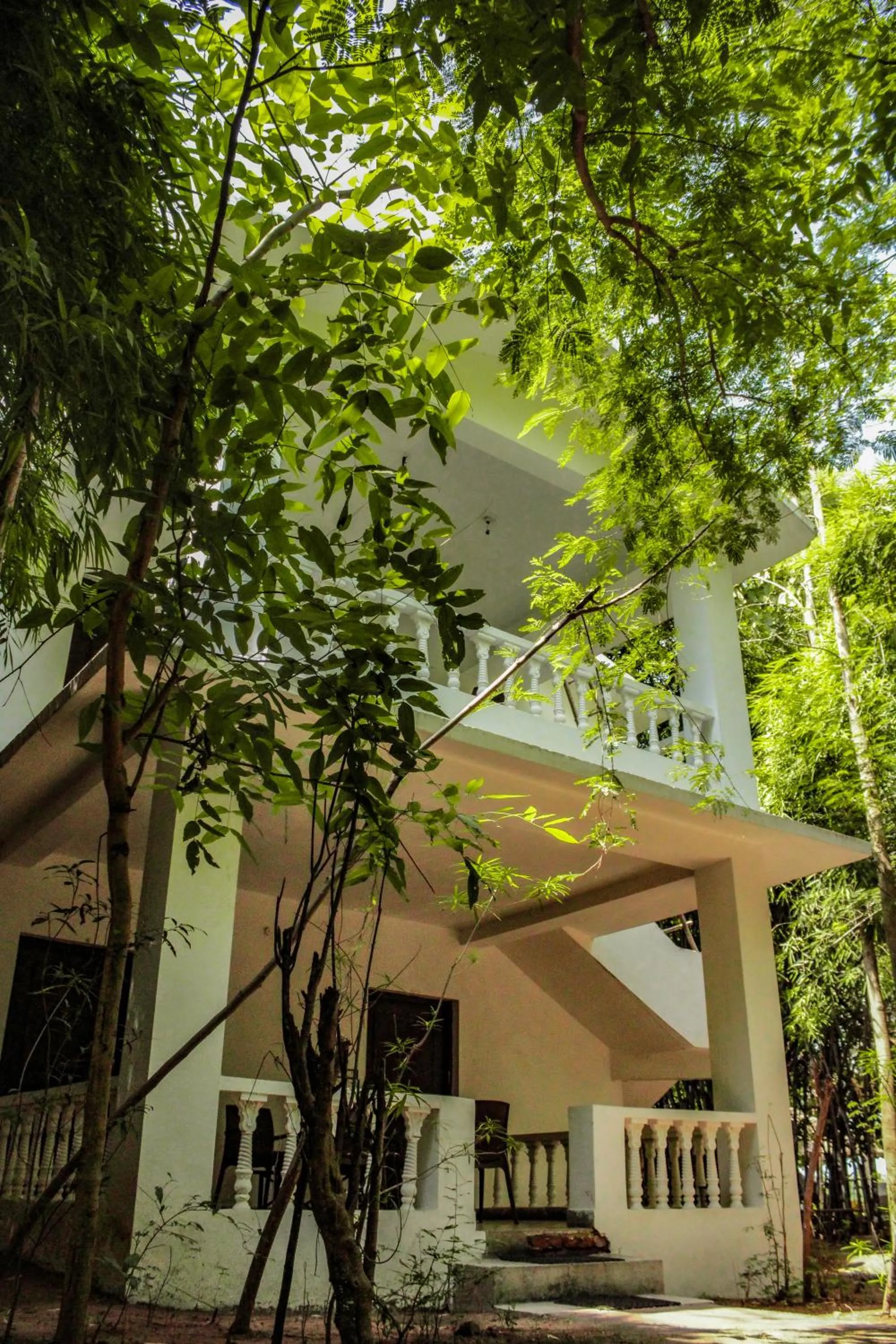 Property building in Panna Tiger Resort- Riverside Property