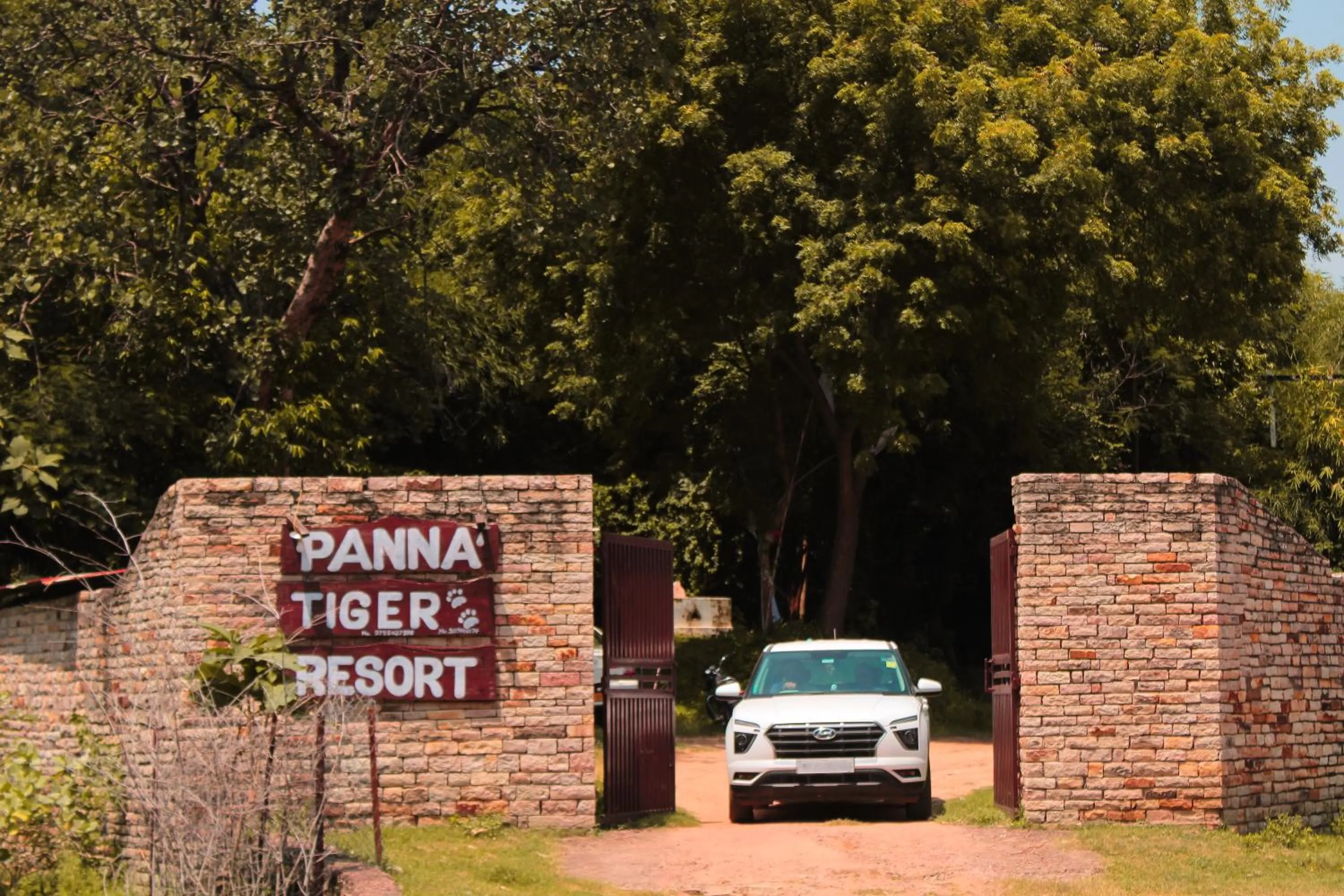 Day in Panna Tiger Resort- Riverside Property