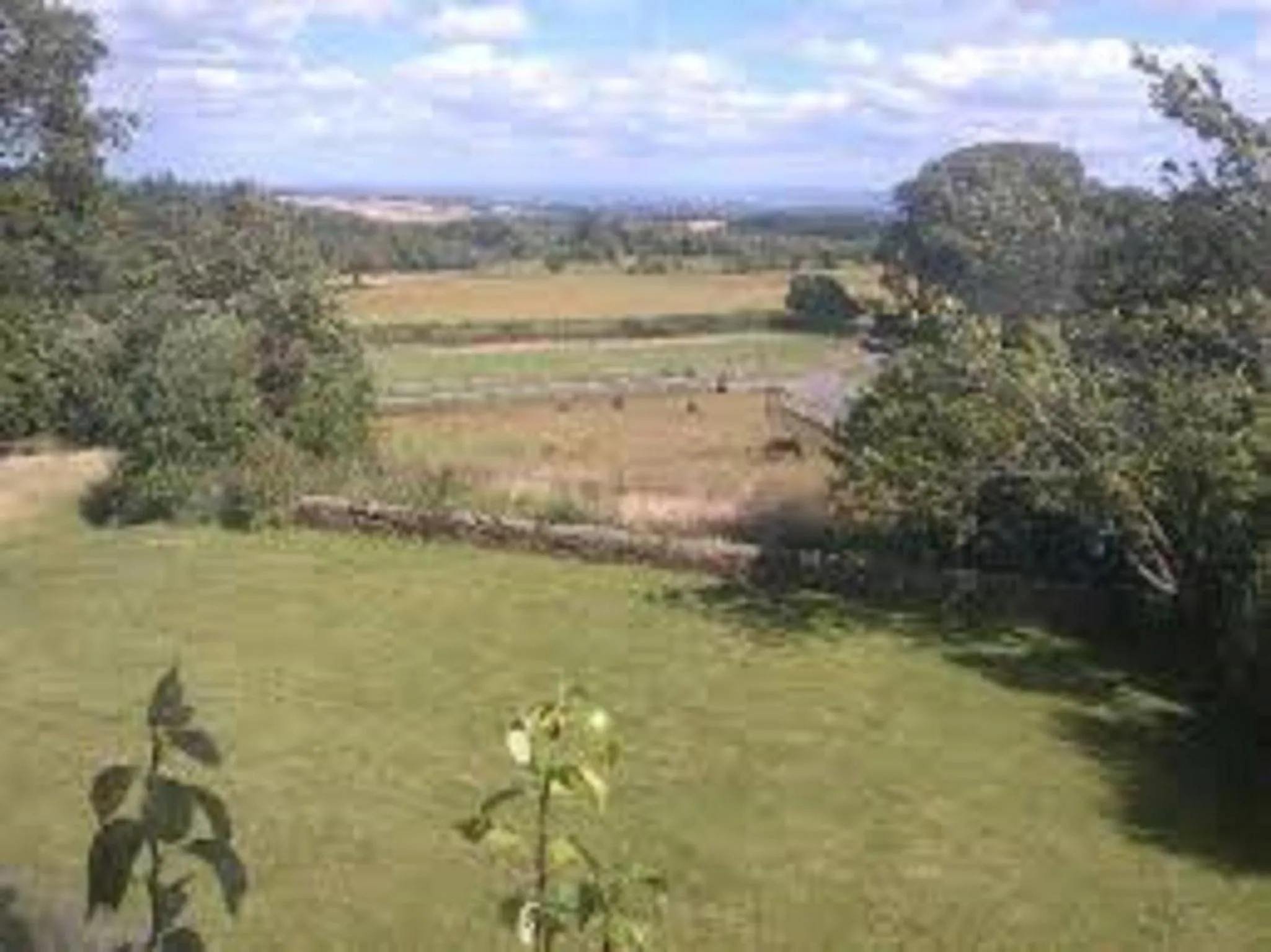 Low Gingerfield Farm B&B