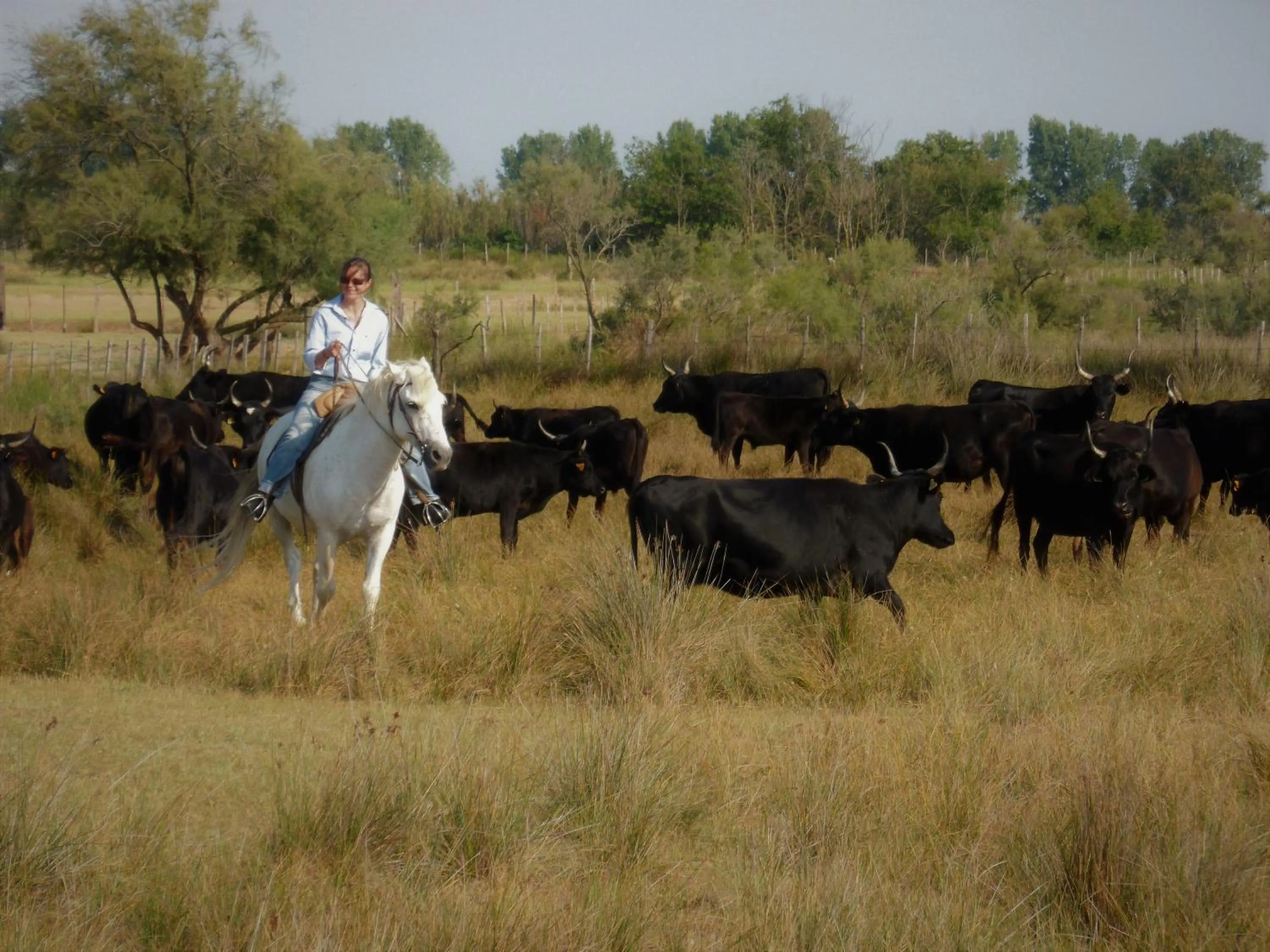 Off site in Logis Le Nid du Pont de Gau