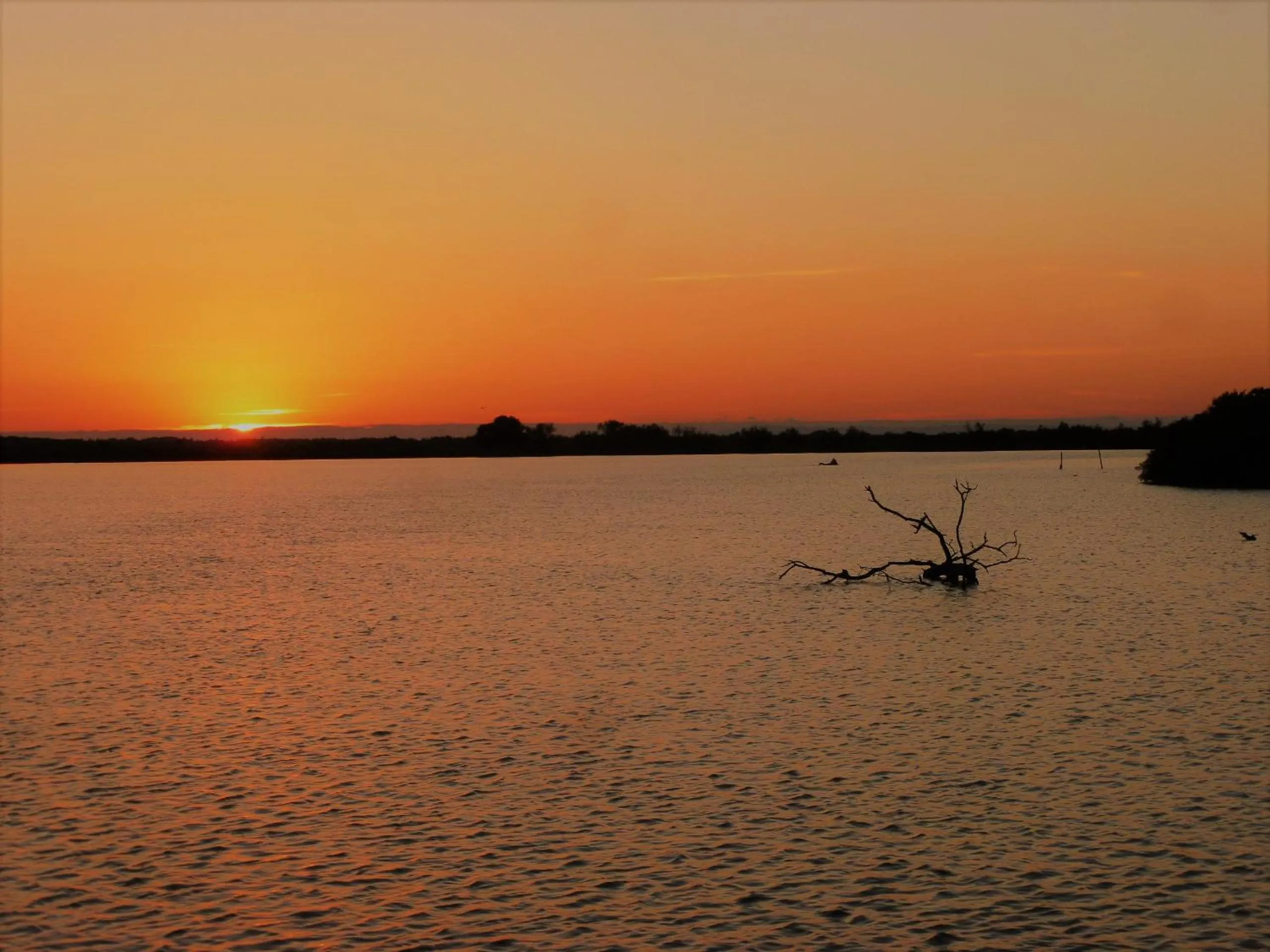 Off site in Logis Le Nid du Pont de Gau