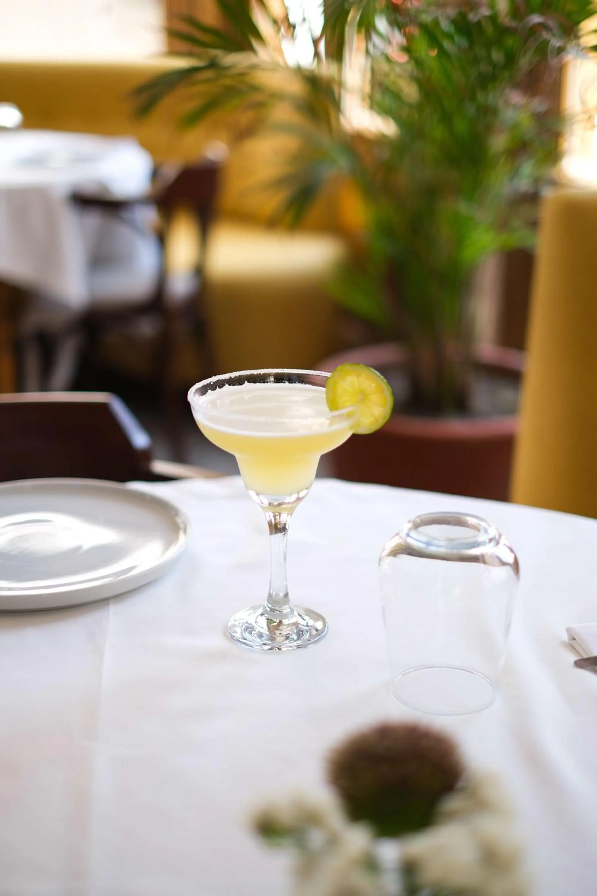 Restaurant/places to eat in Viento Alacati Hotel