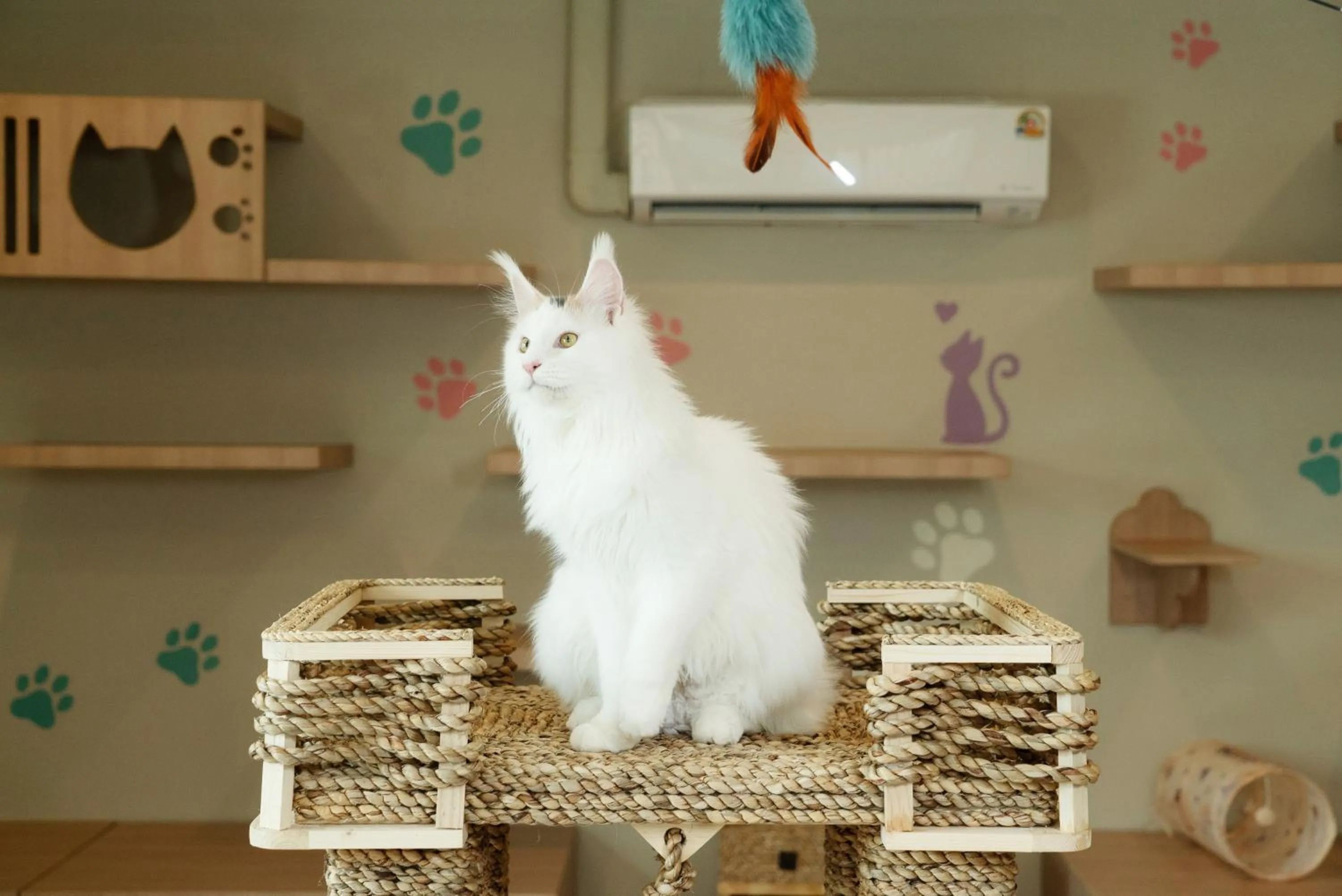 Food and drinks in Rawayana Central Park Villas