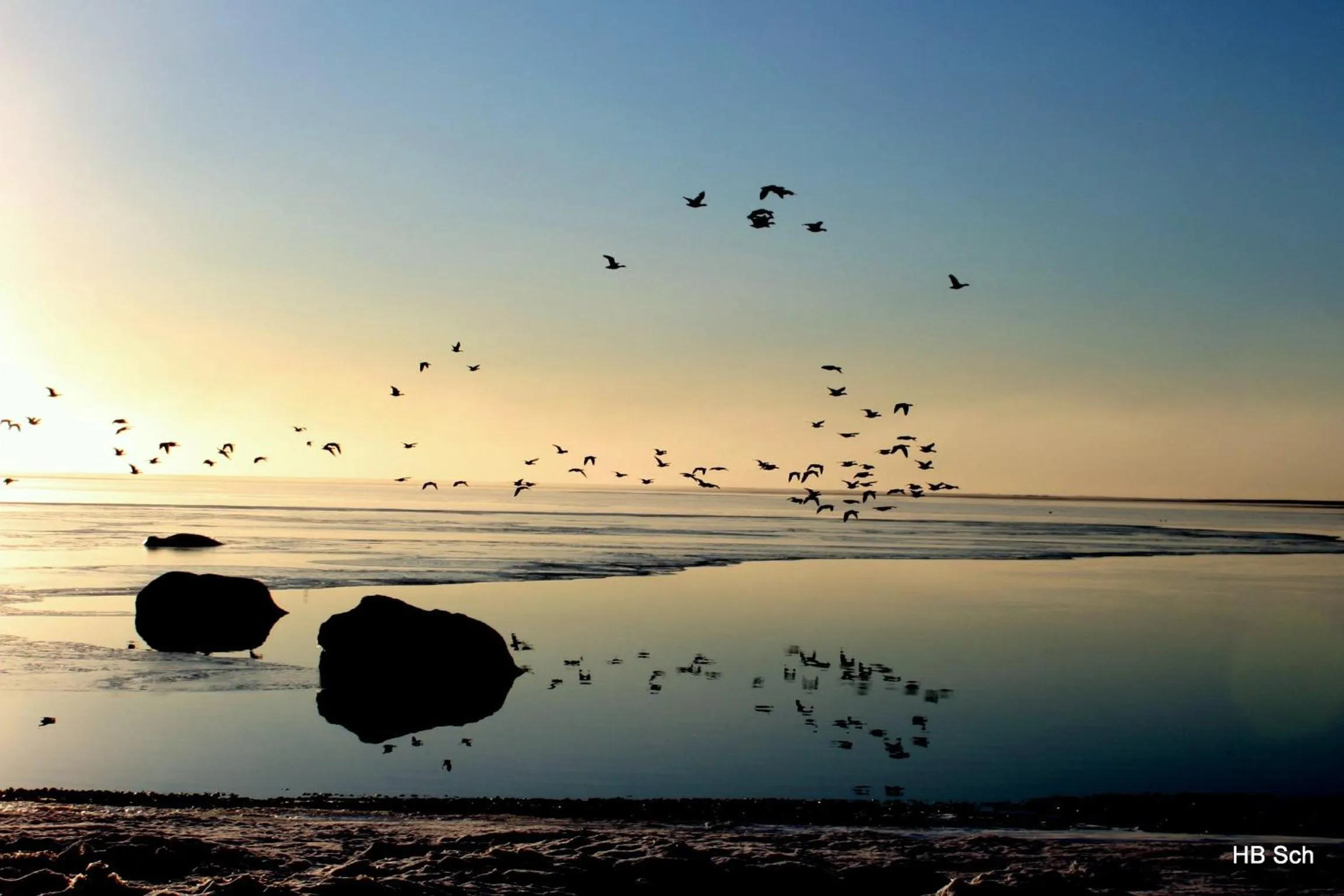Beach in South Iceland Guesthouse