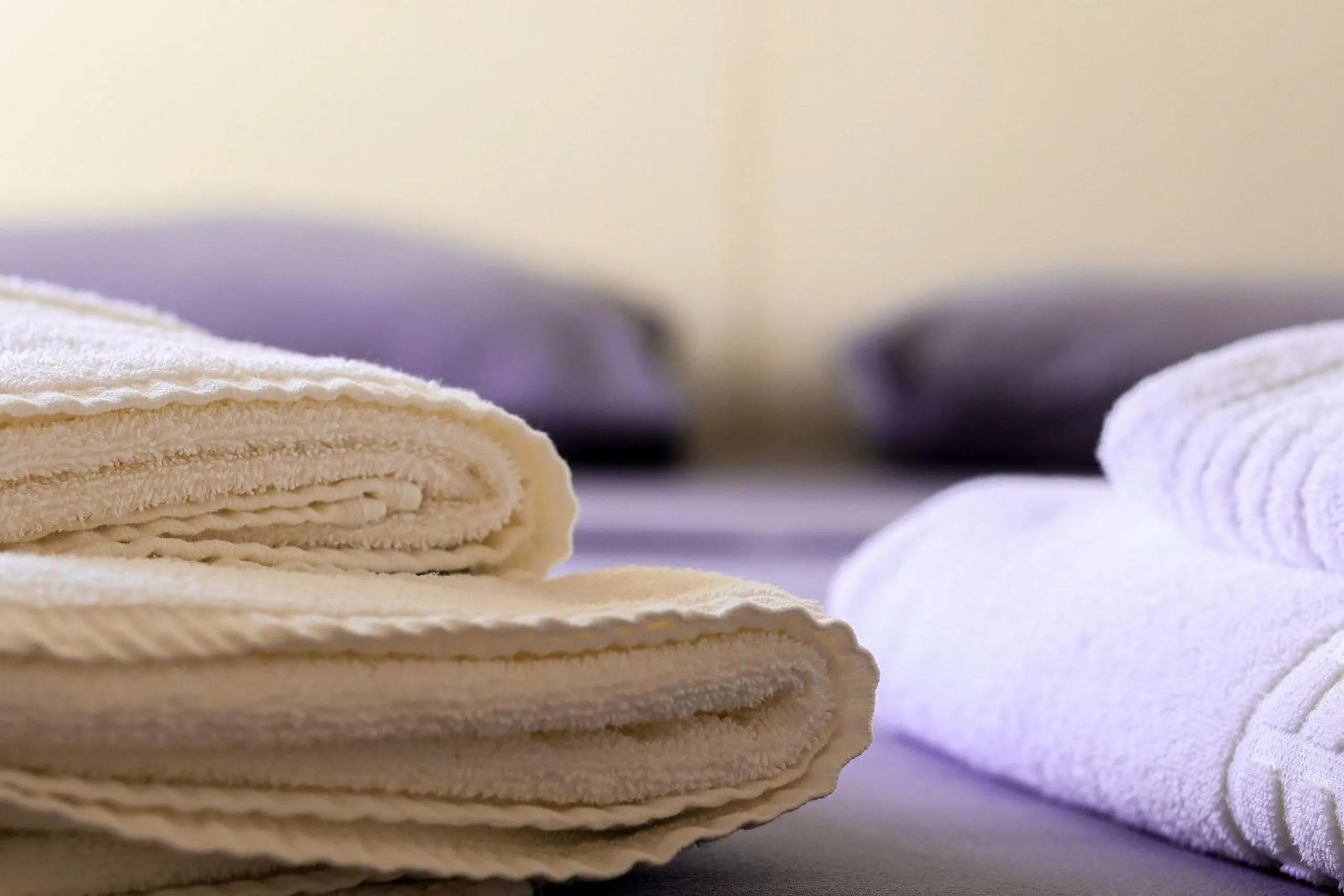 Bed in Elegant Flat Internacional Plaza-Garagem e Piscina