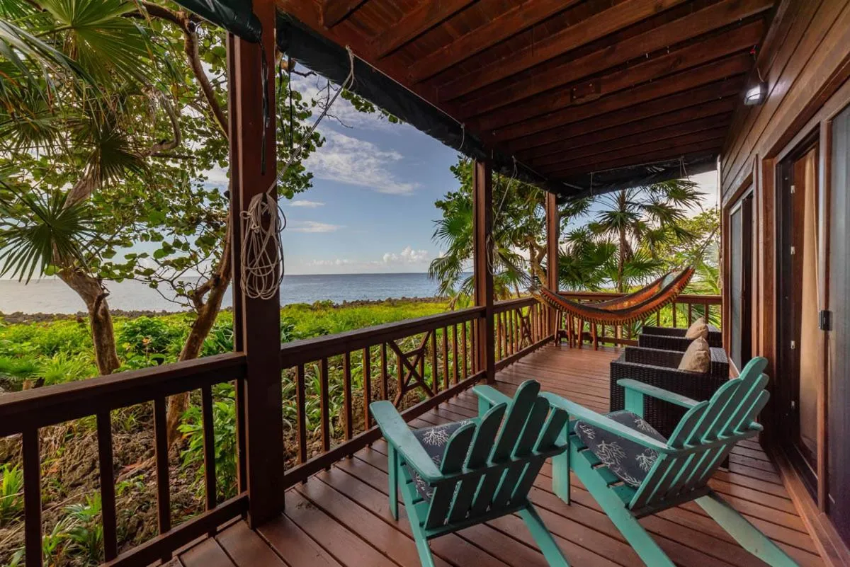 Natural landscape in Cocolobo Resort