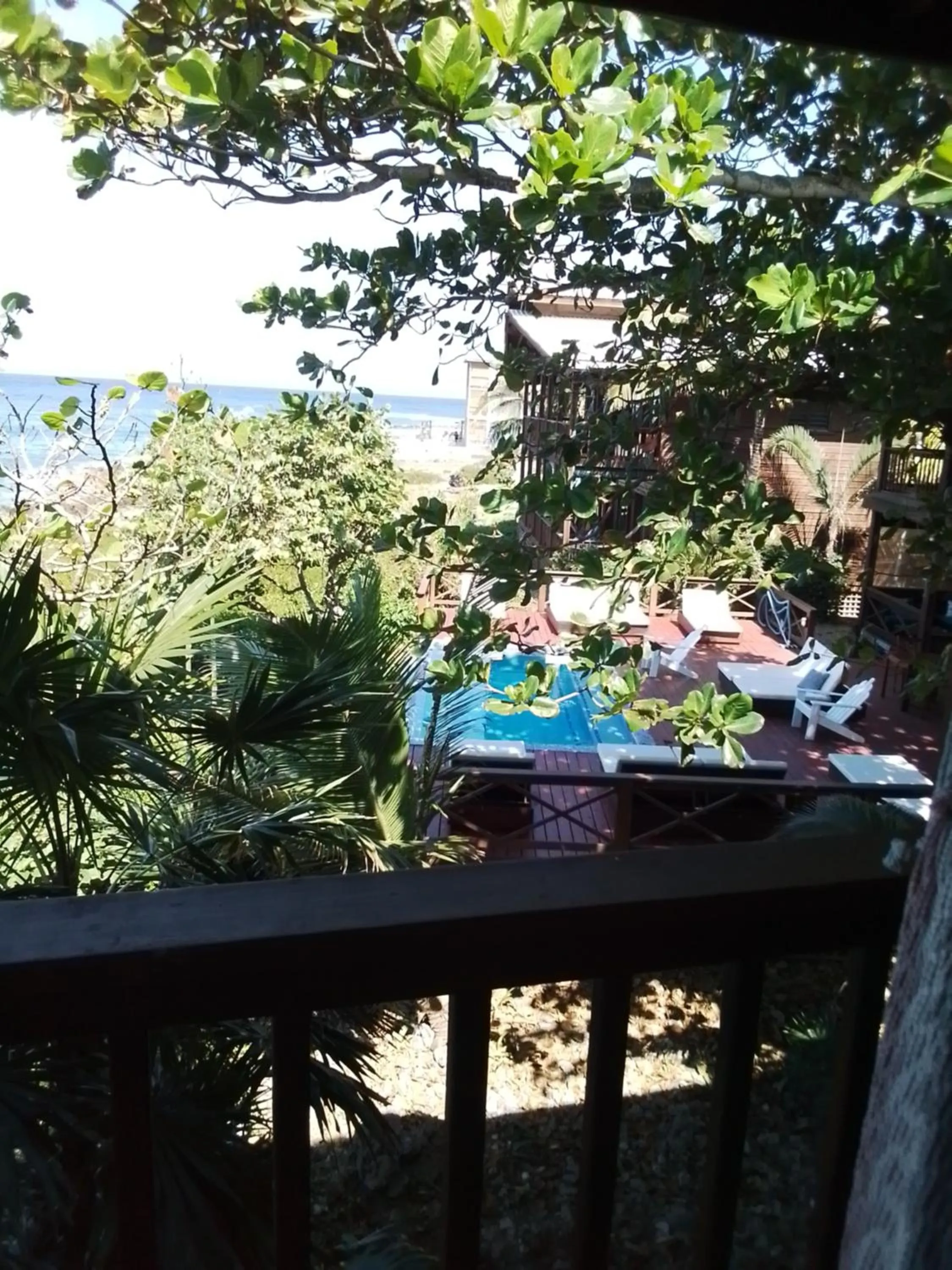 Natural landscape in Cocolobo Resort