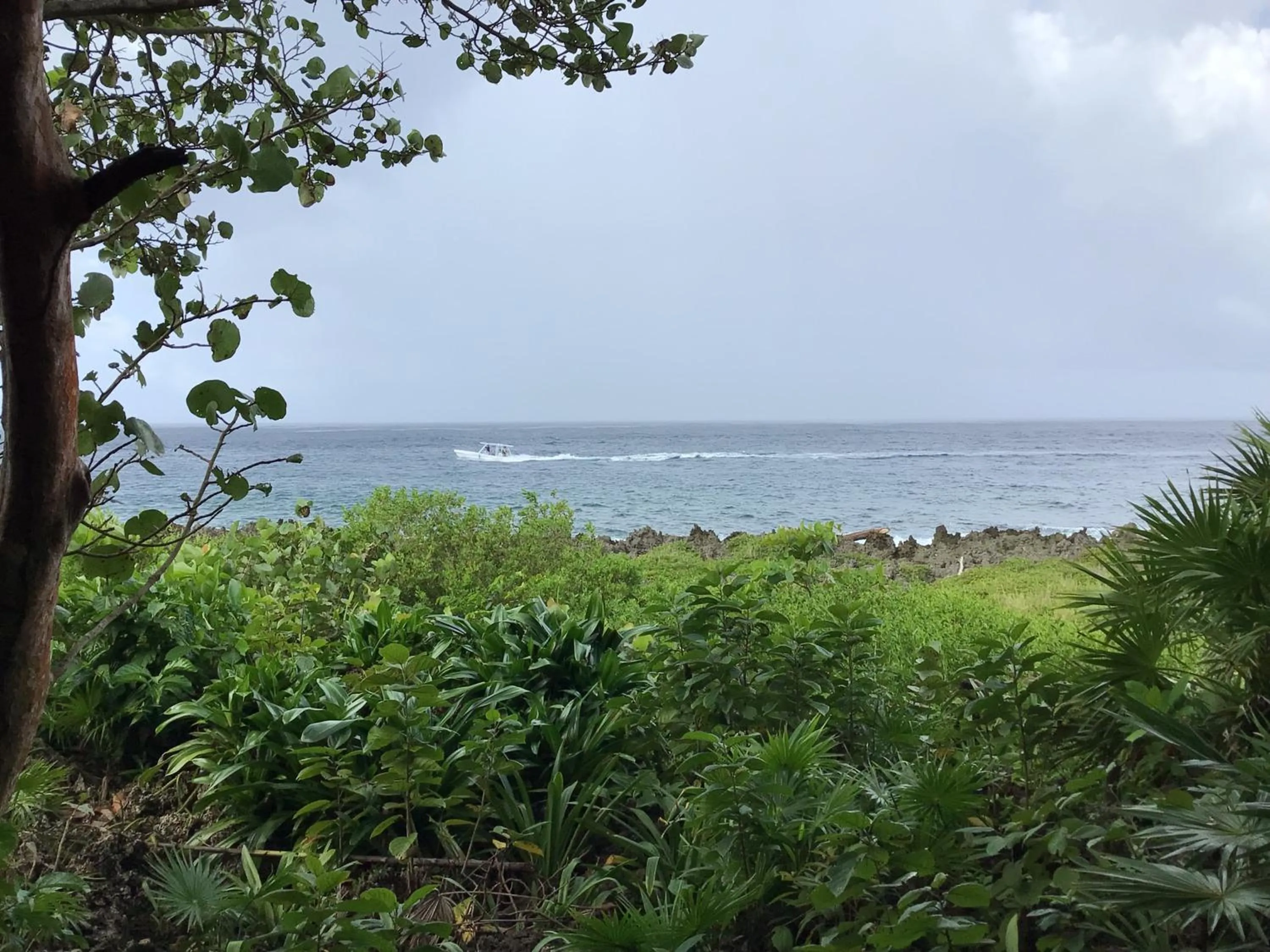 Sea view in Cocolobo Resort