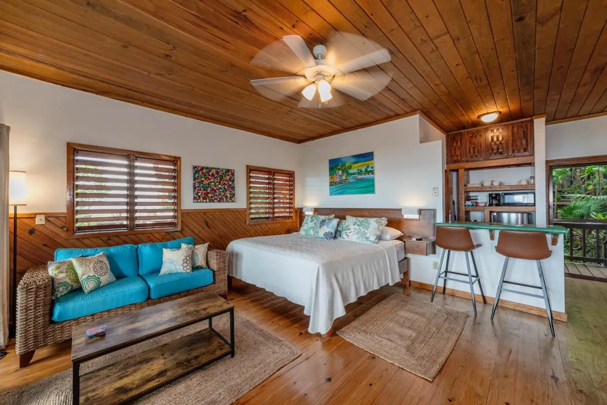 Photo of the whole room, Bed in Cocolobo Resort