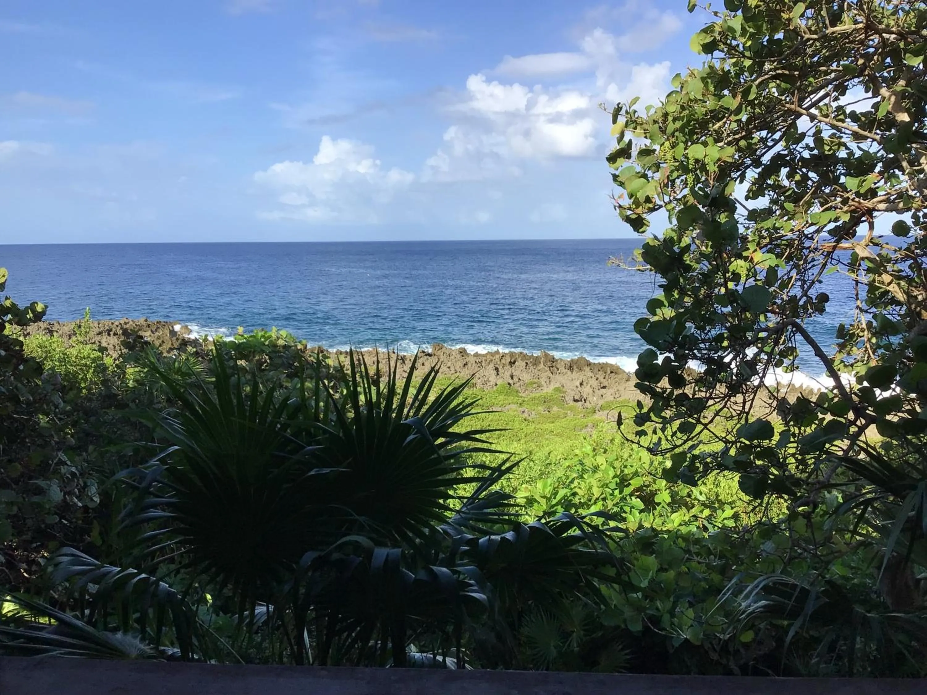 Studio with Ocean View in Cocolobo Resort