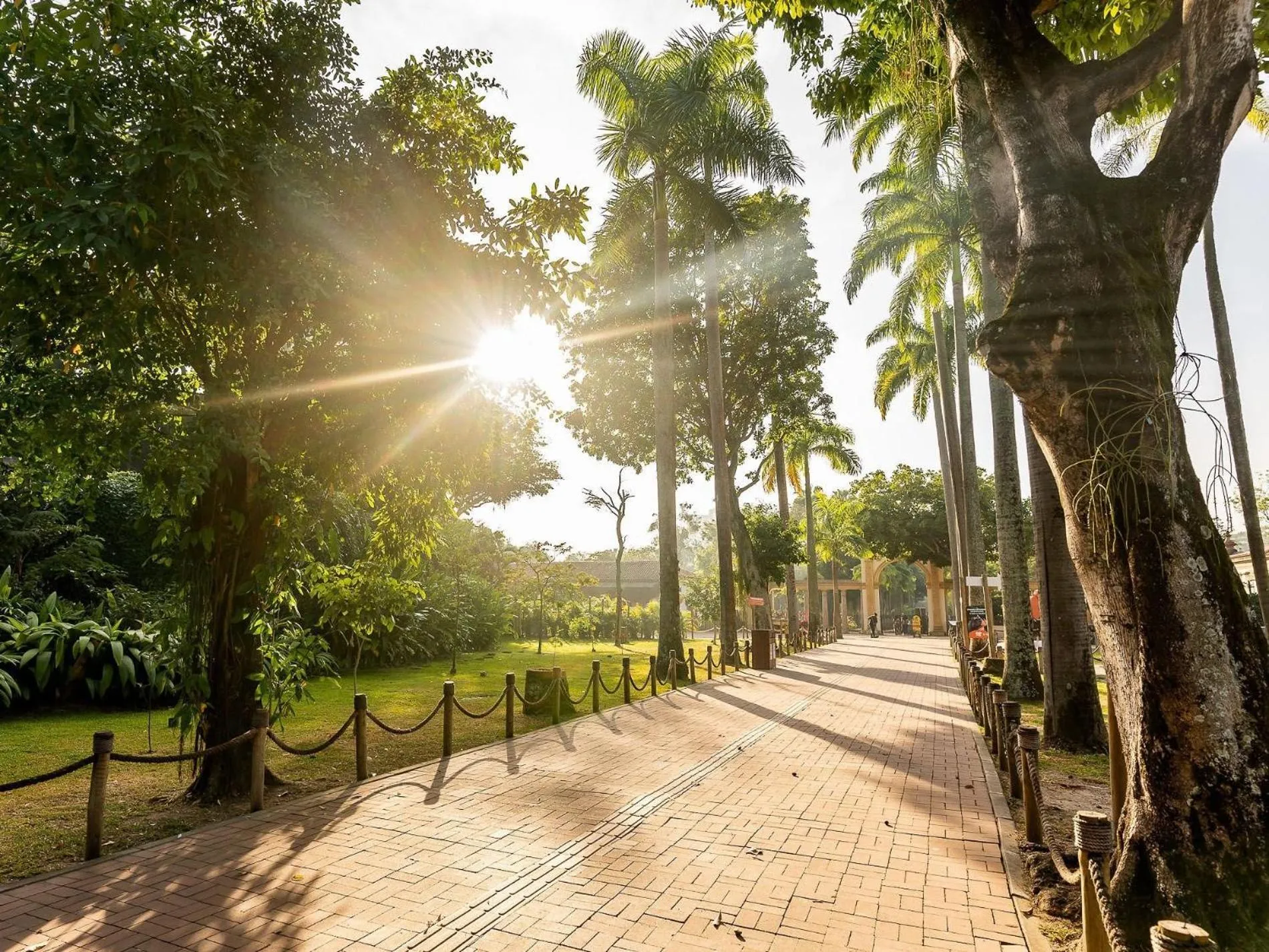 Entertainment in Must Leblon - pacote: 4 Hóspedes, Praia + 1 Ticket