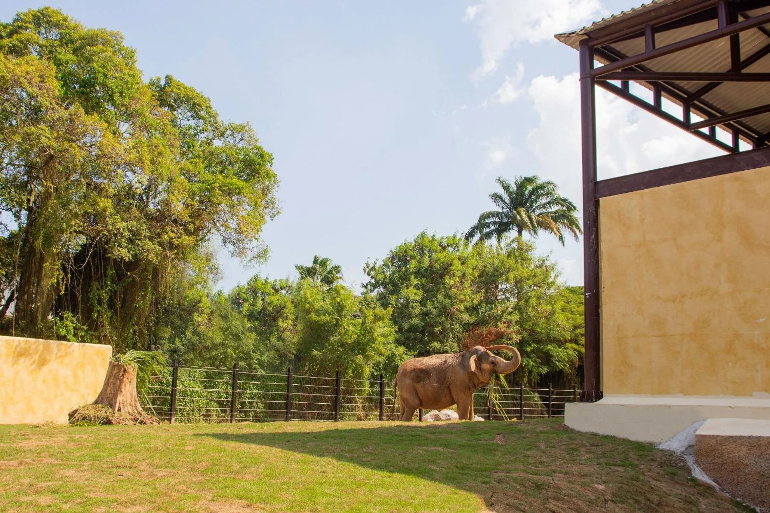 Entertainment in Must Leblon - pacote: 4 Hóspedes, Praia + 1 Ticket