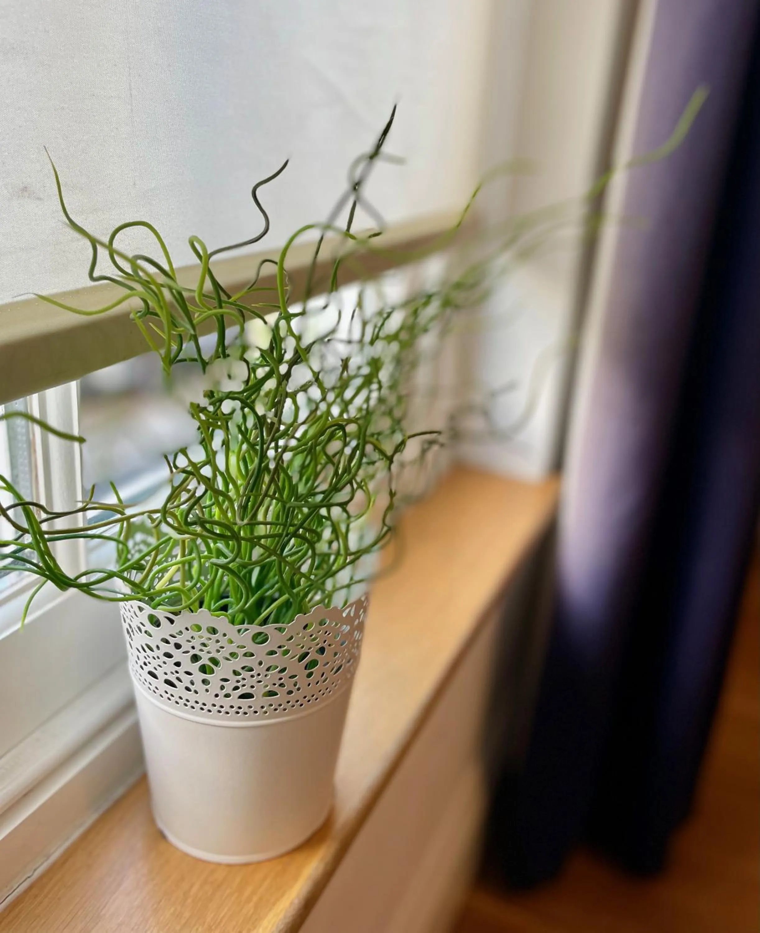 Decorative detail in The Queen's Head Hotel