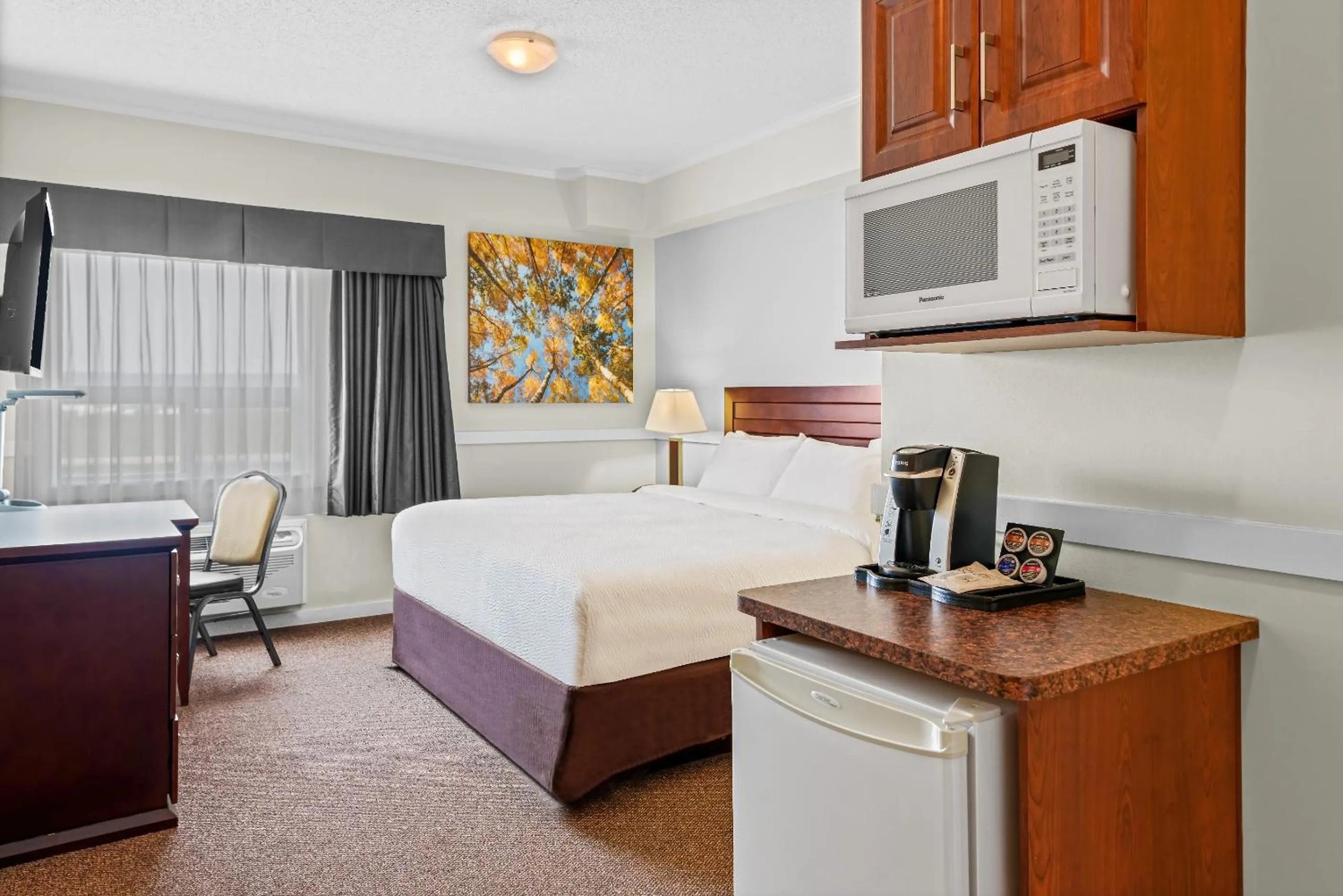 microwave in Elk Island Studios - Lamont