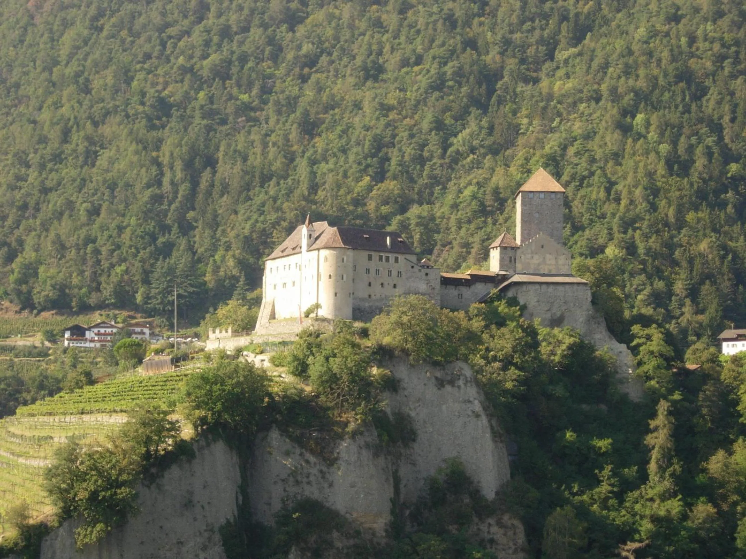 Area and facilities in Garni Kofler