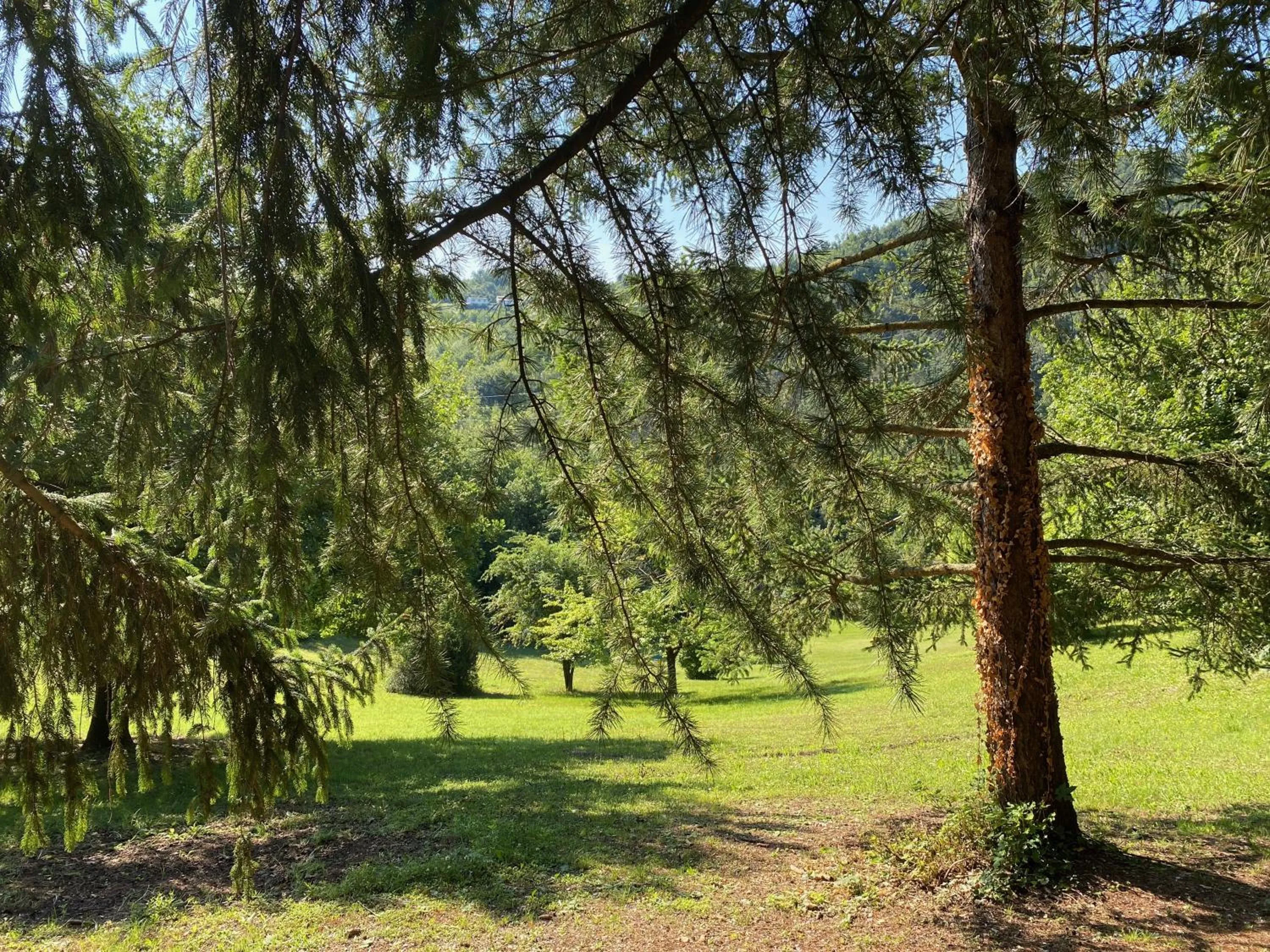 Garden in Torre del Barbagianni - Castello di Gropparello