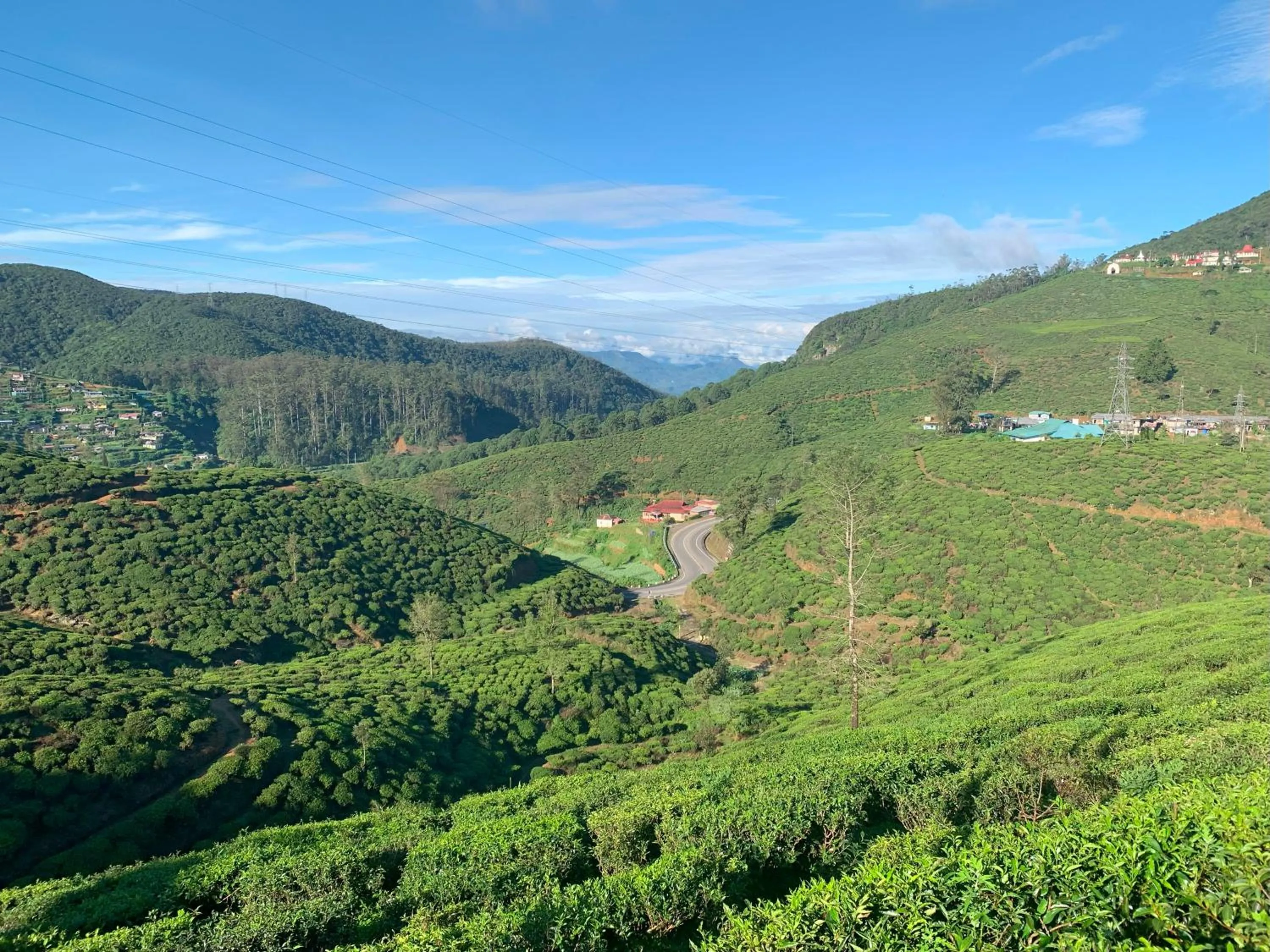 Natural landscape in Aaradhya Nuwara Eliya