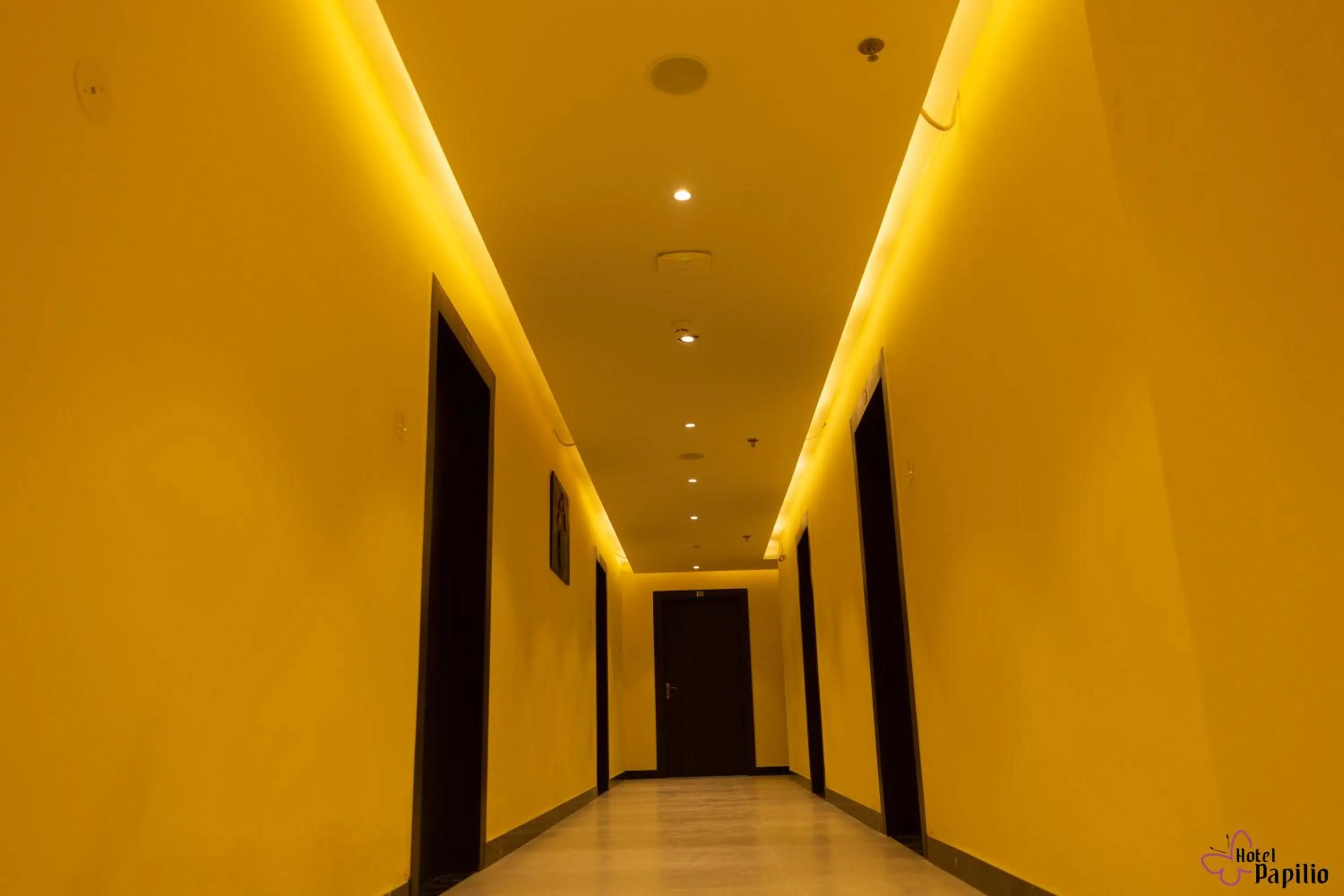 Street view in HOTEL PAPILIO