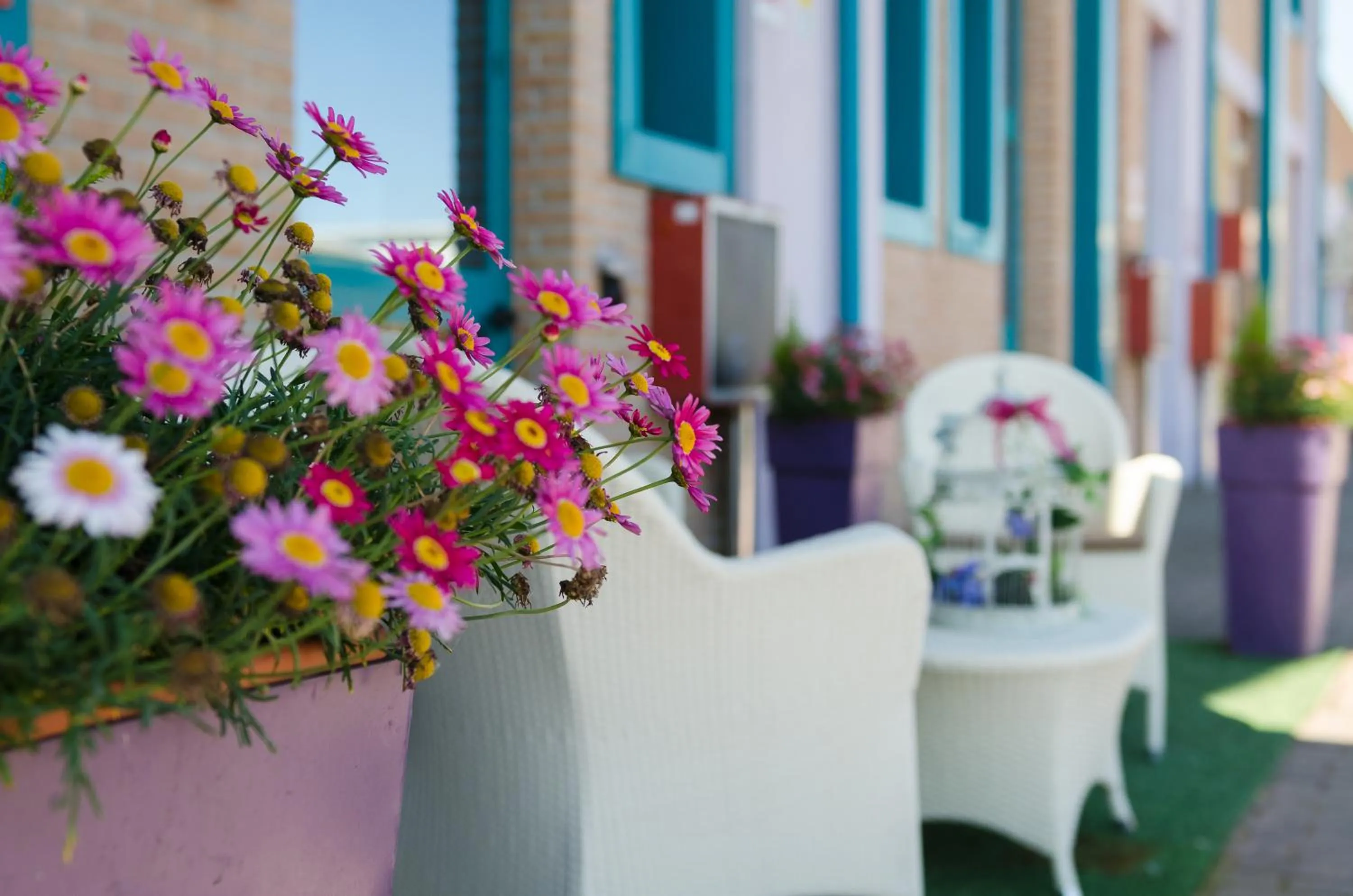 Property building in Hotel Luna Blu