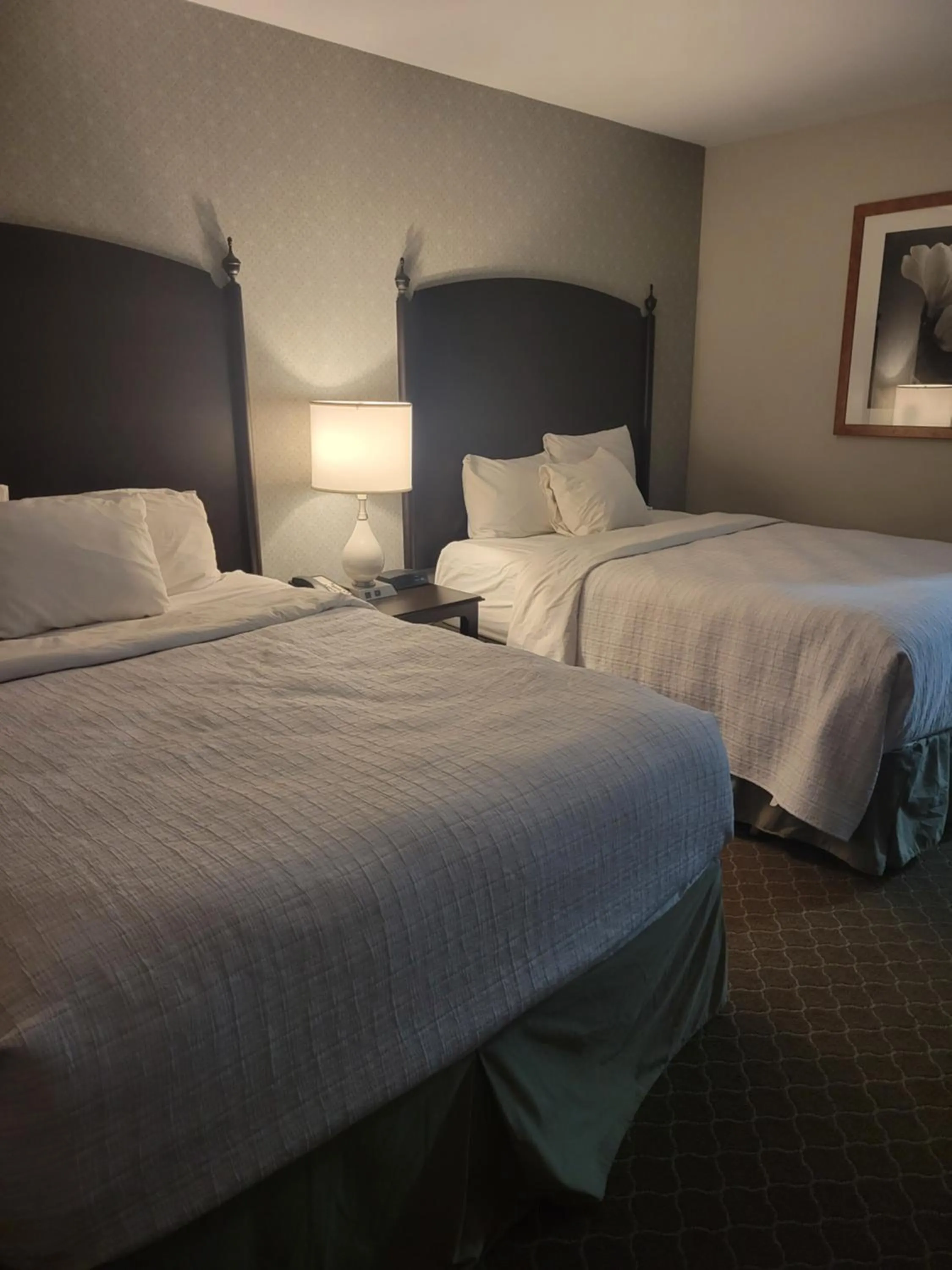 Bed in Natural Bridge Hotel, Trademark Collection by Wyndham