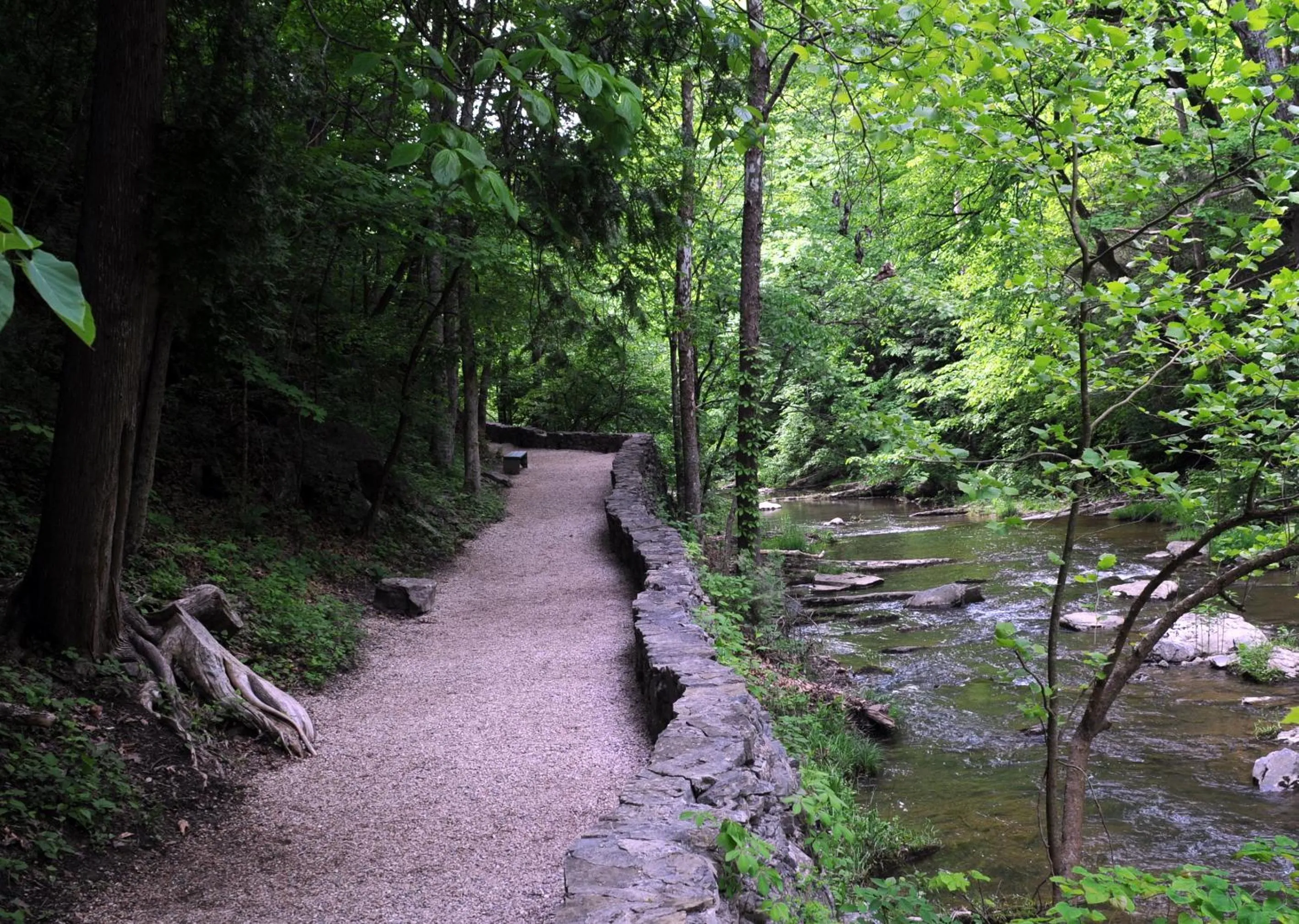 Area and facilities in Natural Bridge Hotel, Trademark Collection by Wyndham