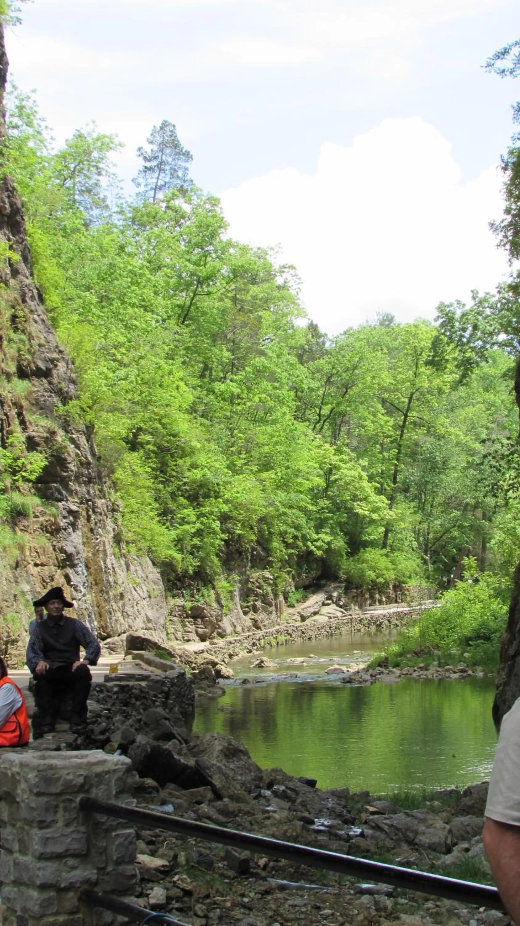 Area and facilities in Natural Bridge Hotel, Trademark Collection by Wyndham