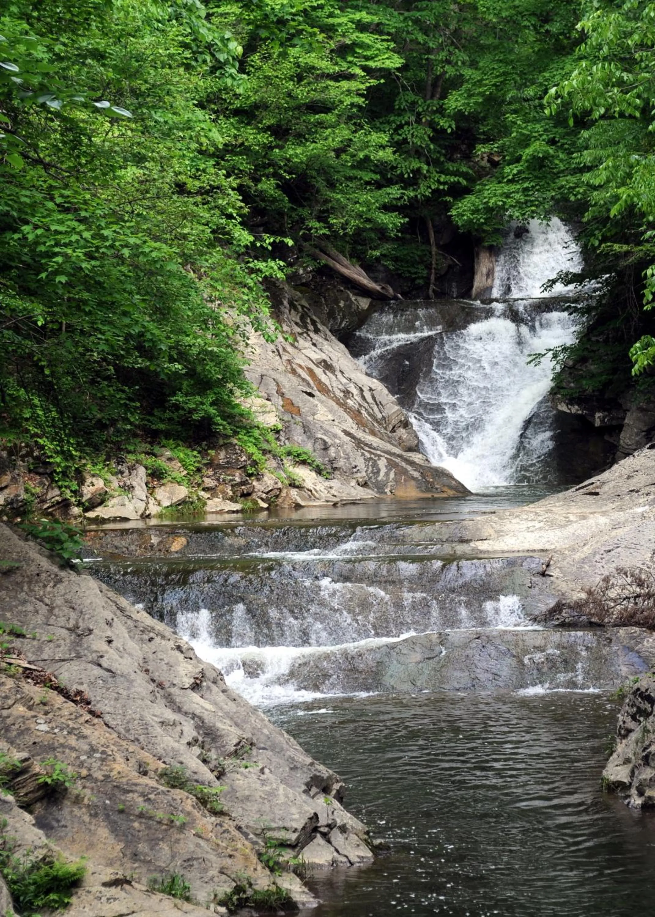 Area and facilities in Natural Bridge Hotel, Trademark Collection by Wyndham