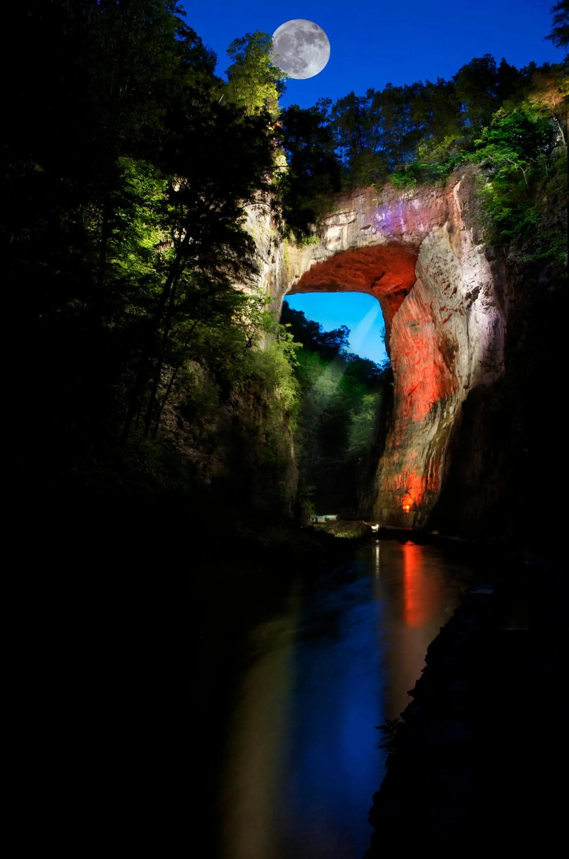 Area and facilities in Natural Bridge Hotel, Trademark Collection by Wyndham